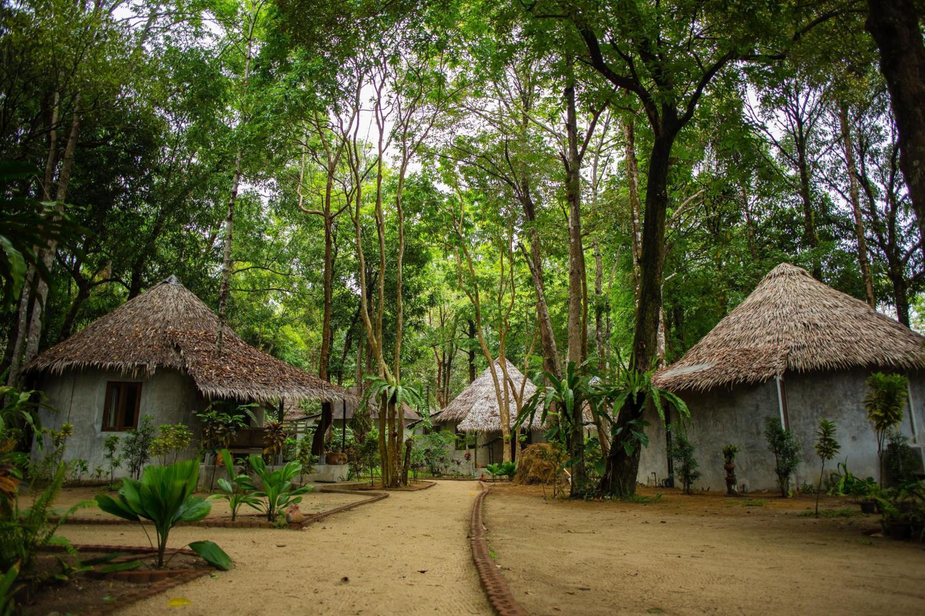 The Tropical Beach Resort