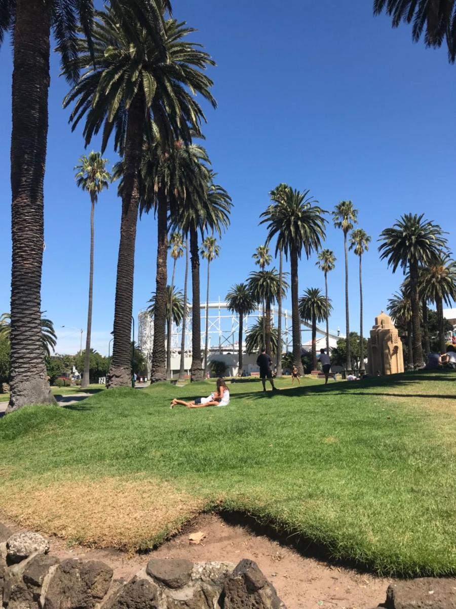 Photo 20