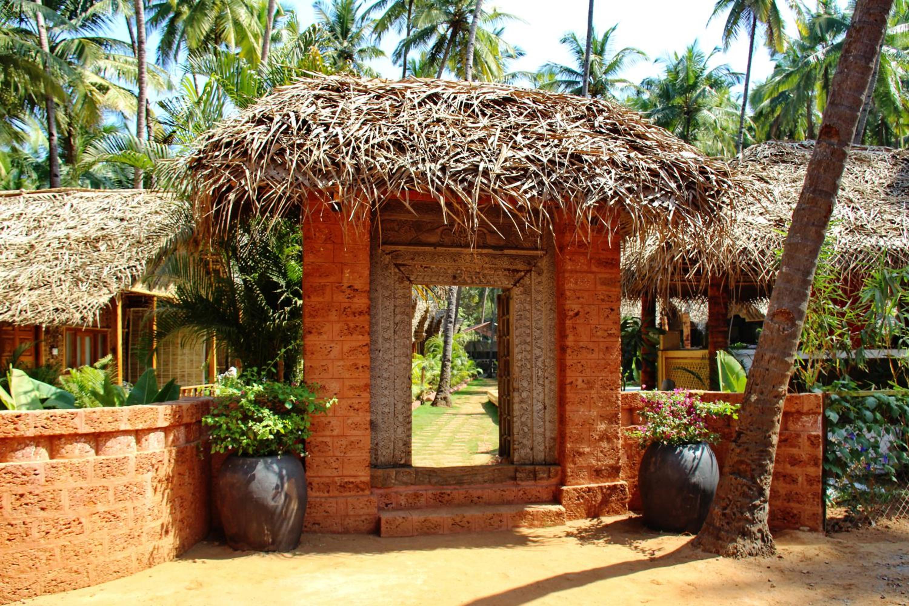 Cinnamon view 2