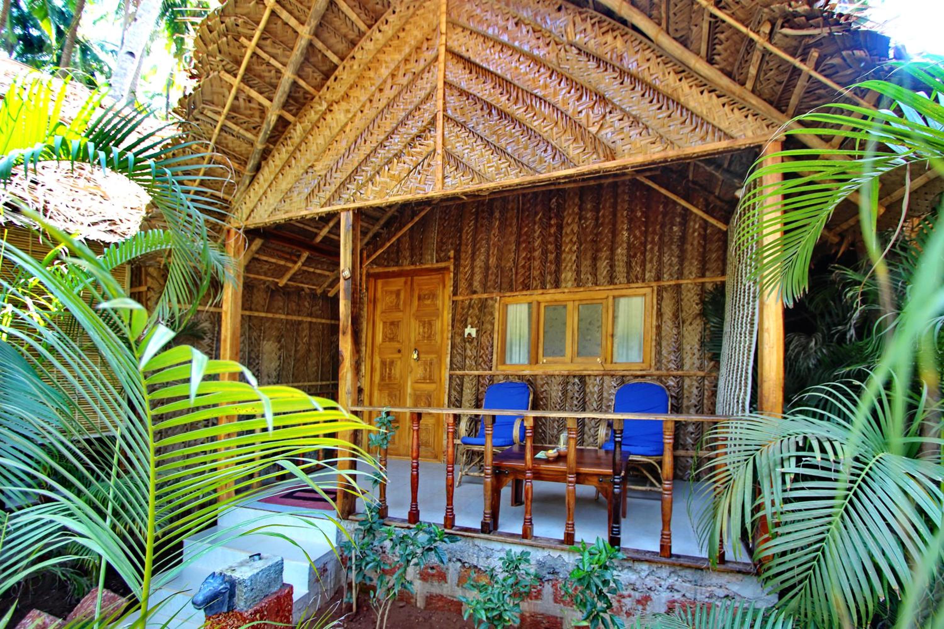 Cinnamon view 3