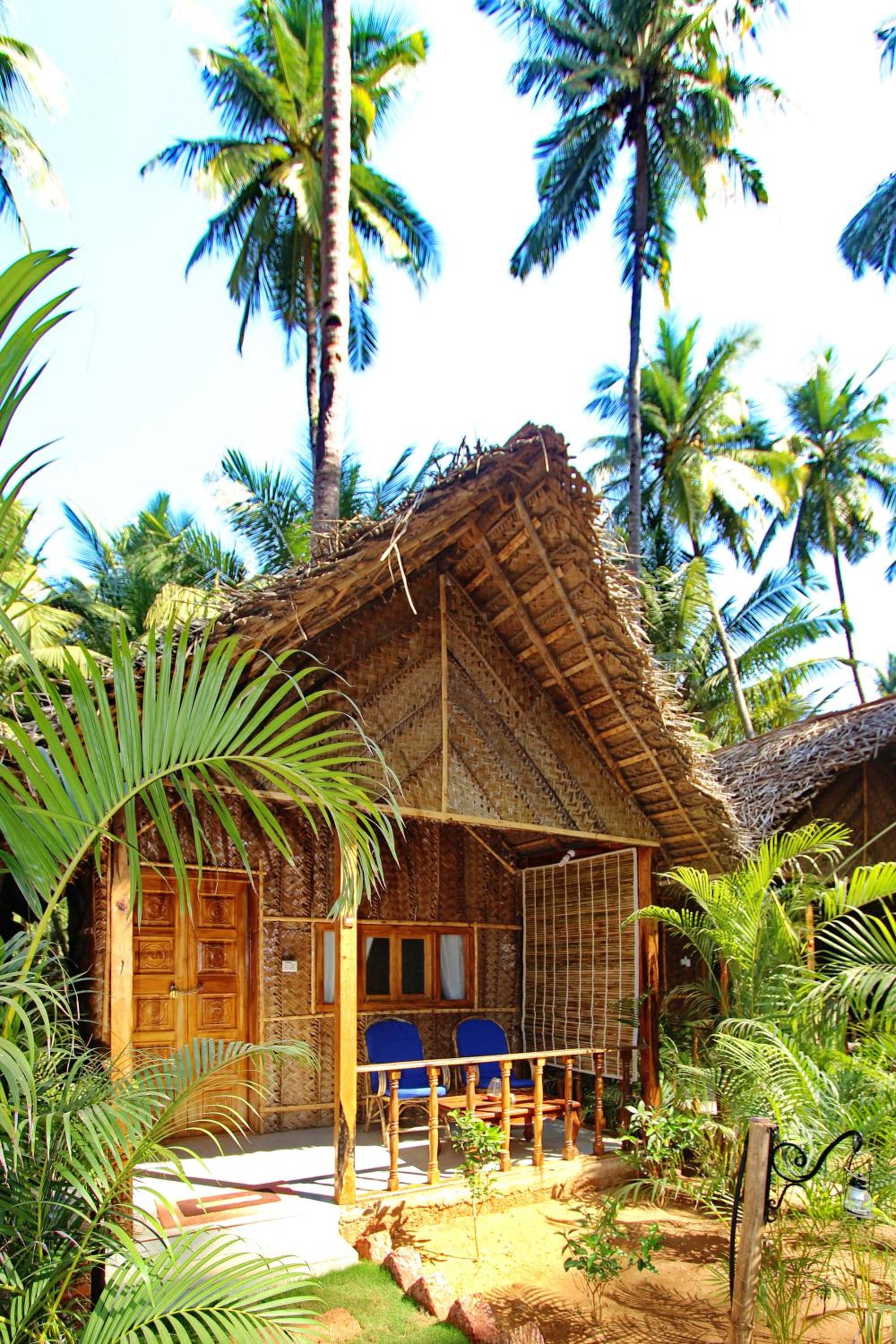 Cinnamon view 5