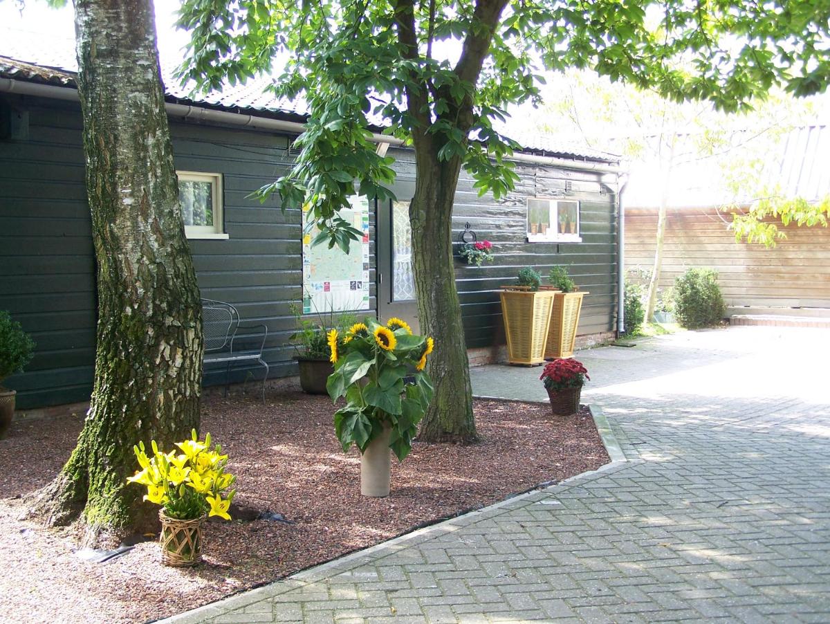 Photo 8