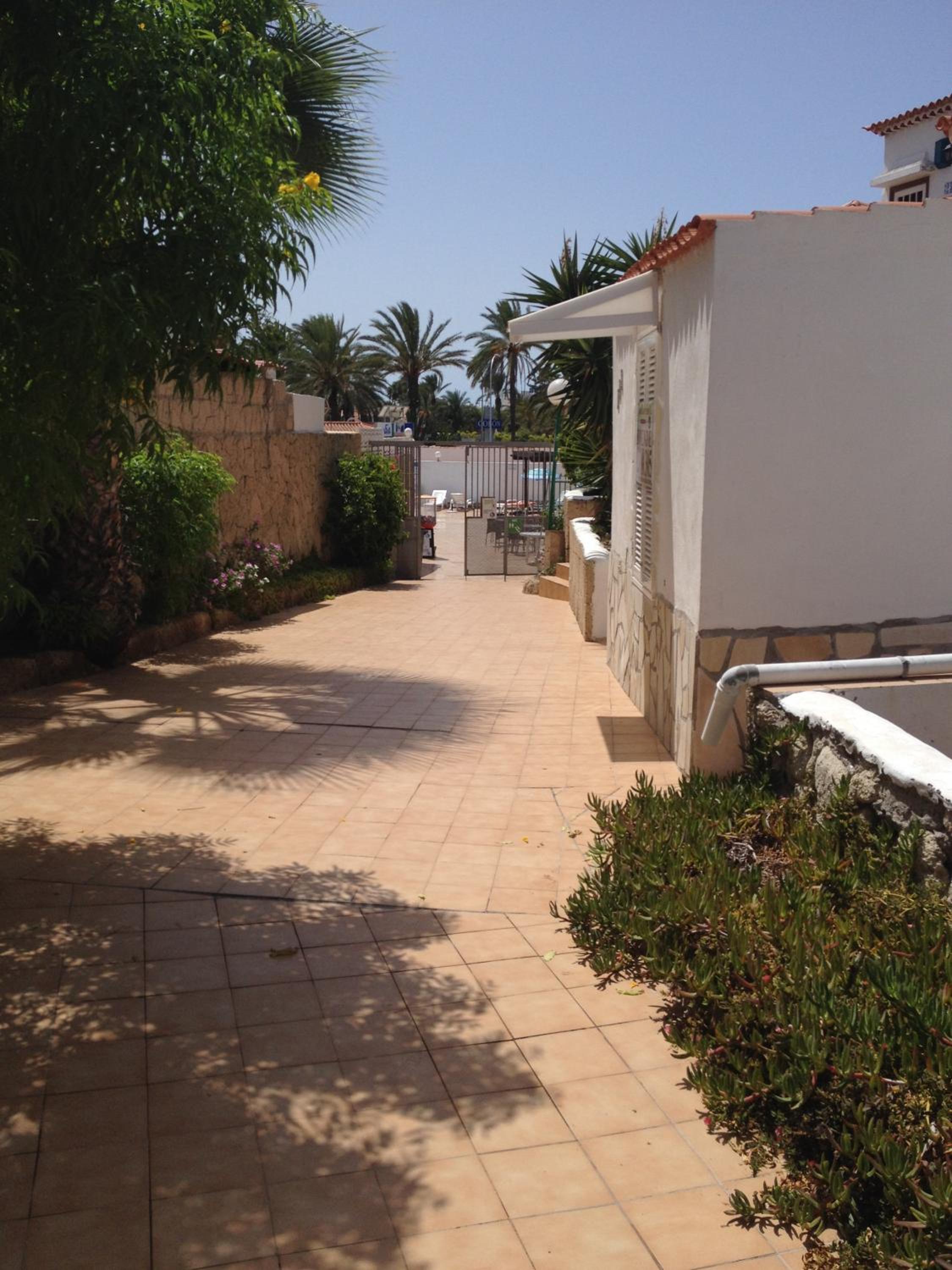 Photo 31
