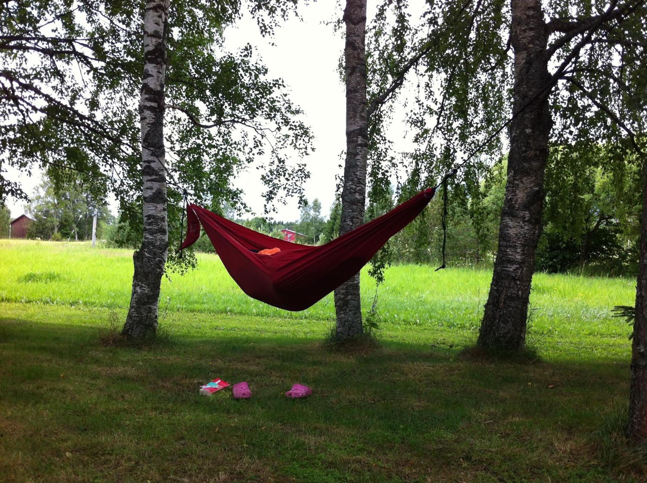 Photo 38