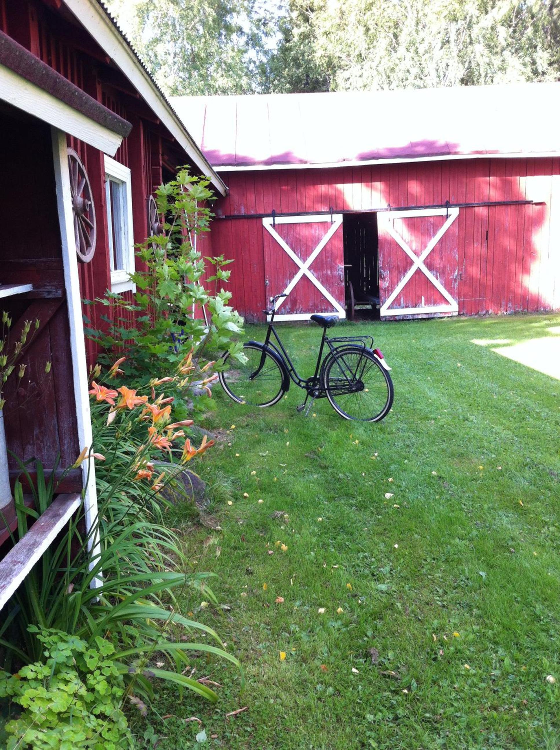 Photo 19