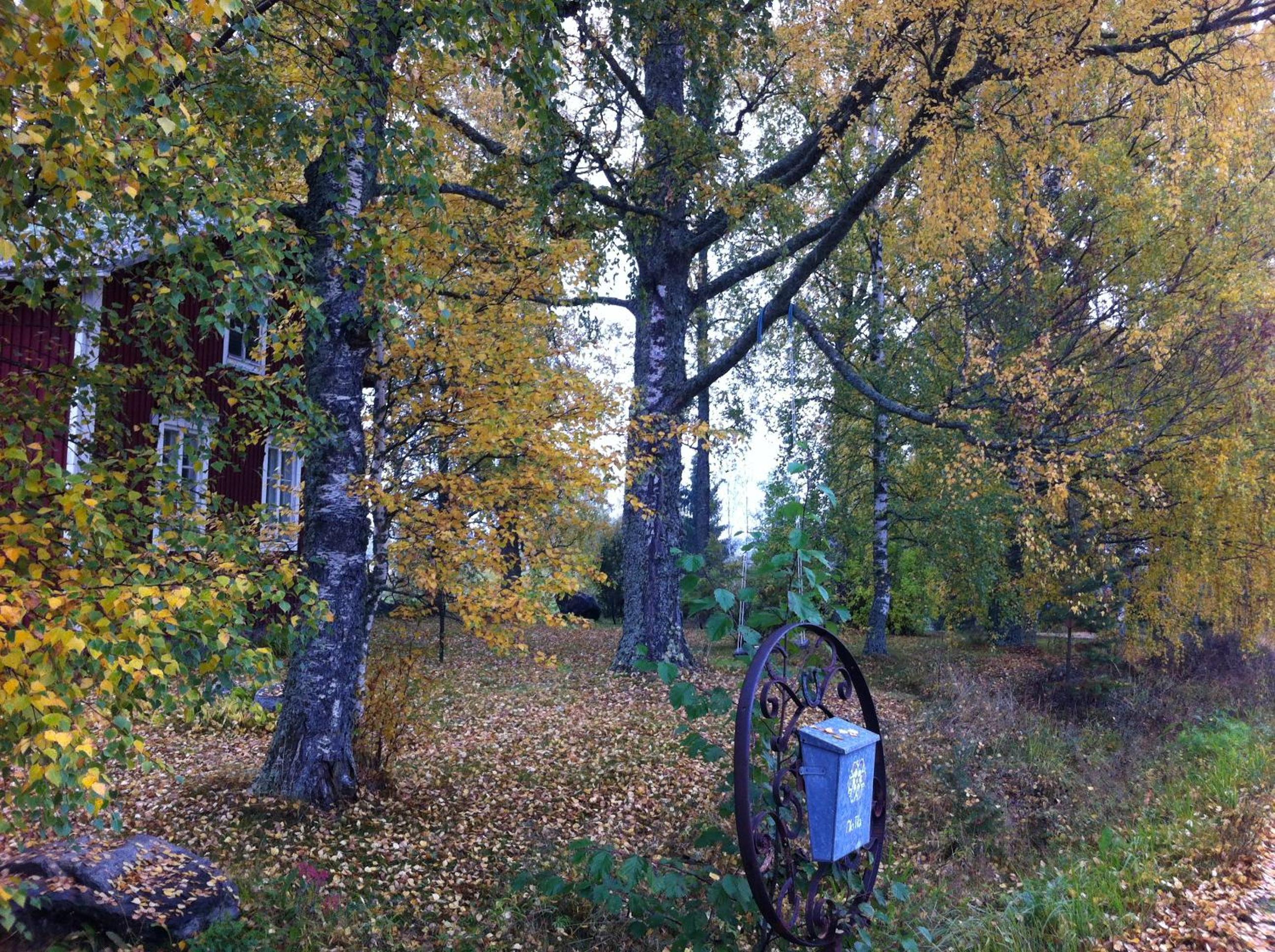 Photo 42