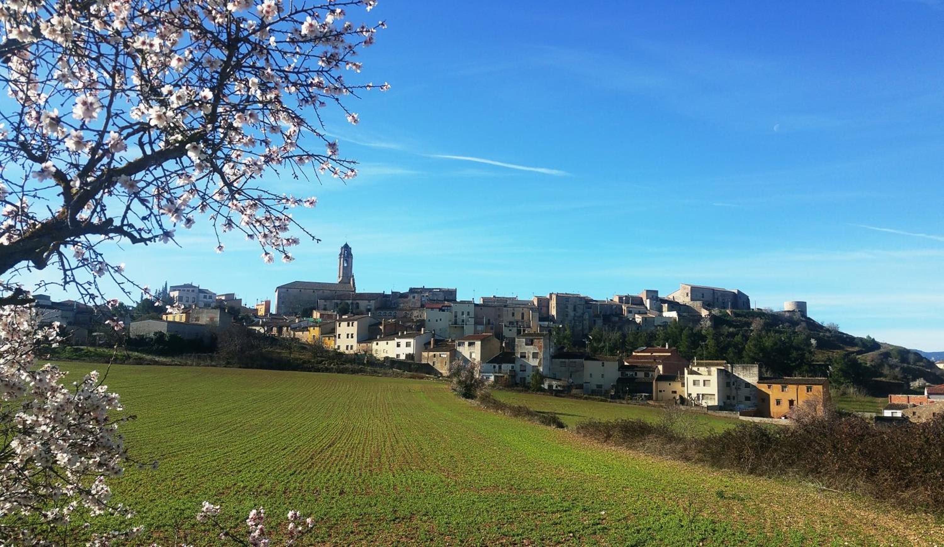Les Voltes I - 2BD hidden gem in hilltop wine village view 5