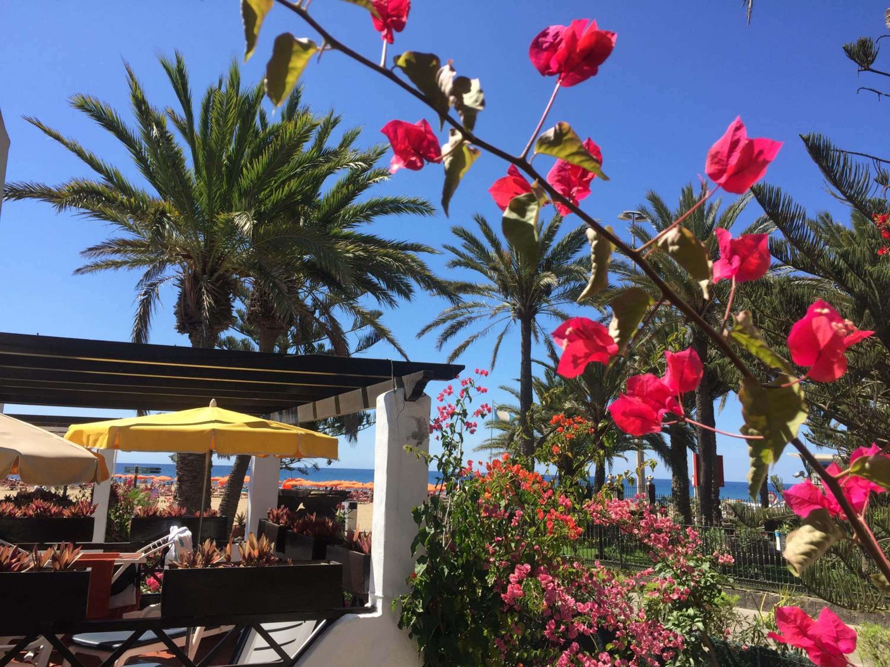 other