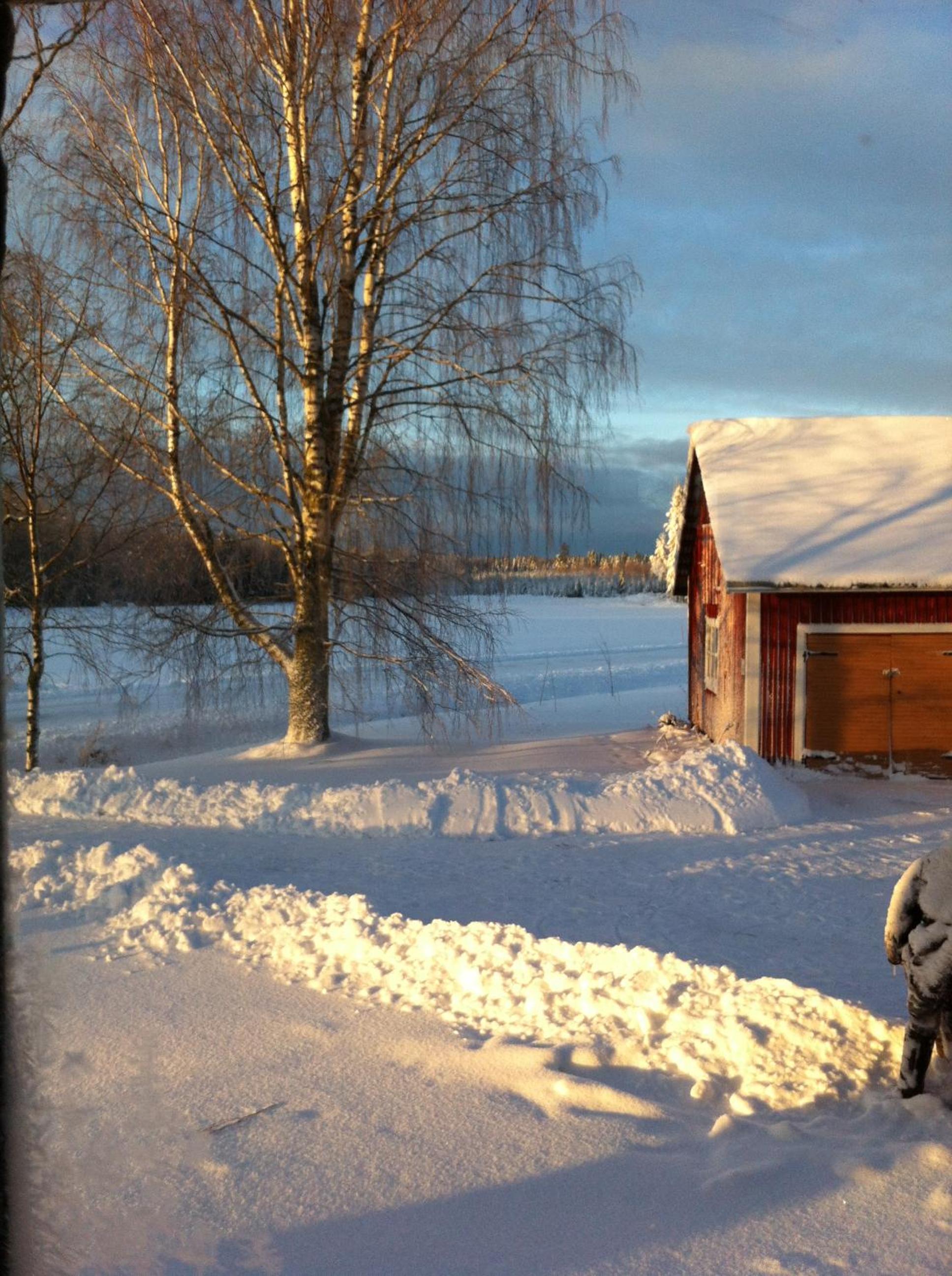 Photo 46