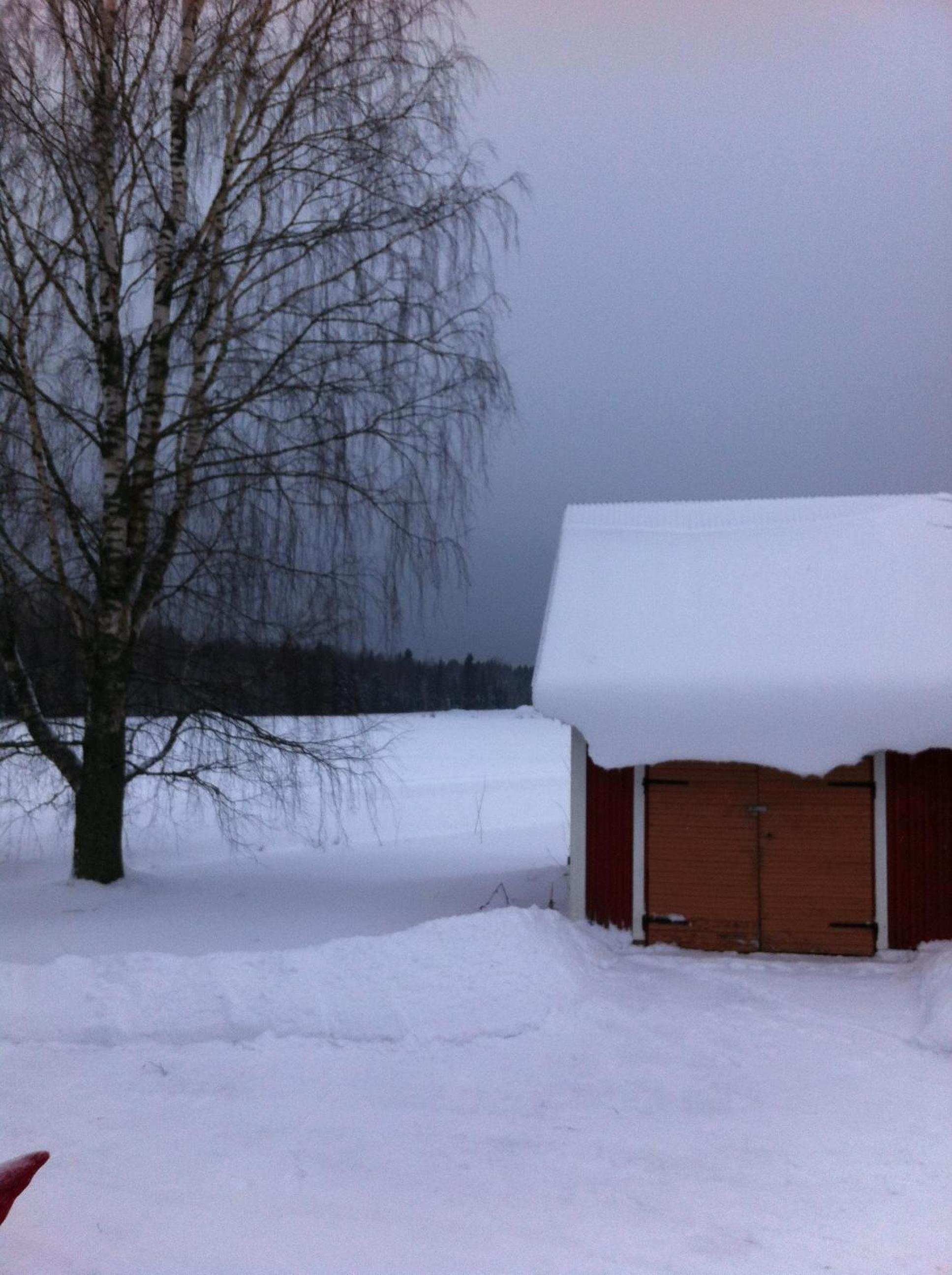 Photo 48