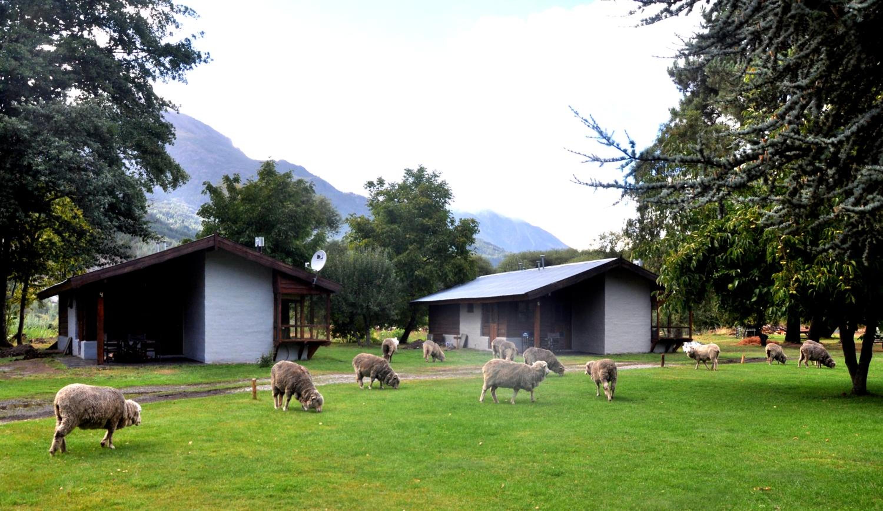 Cabañas y Hosteria Aldea Los Huemules