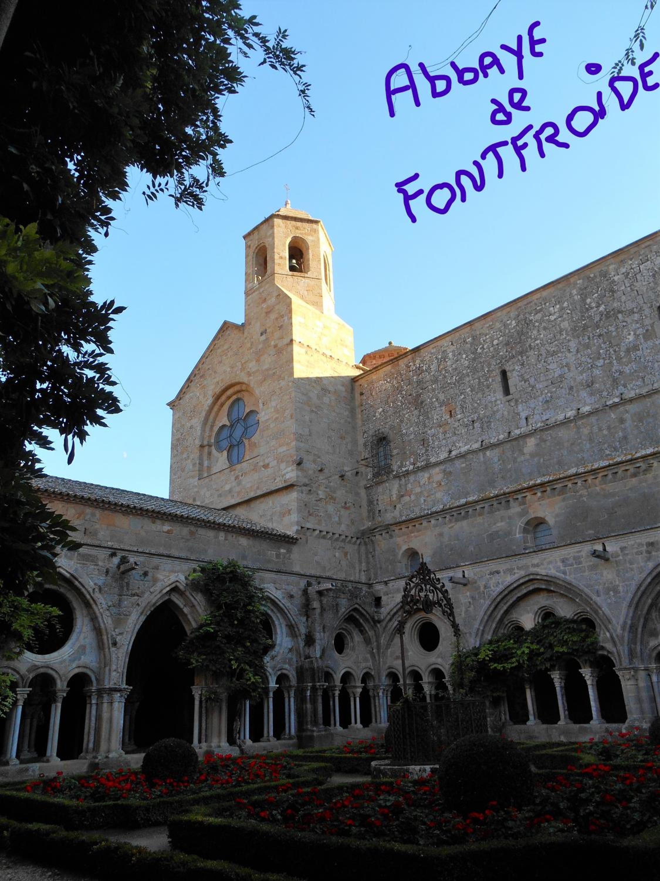 Photo 25