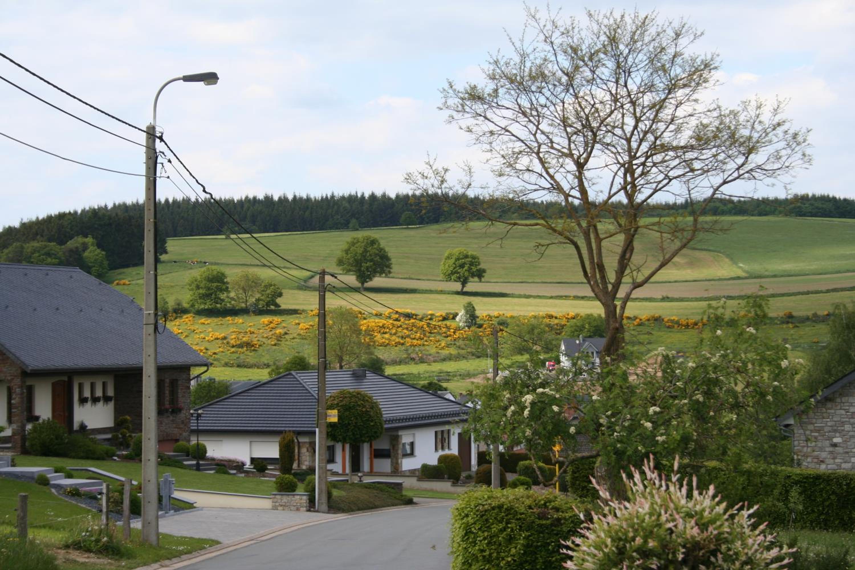 Location PanoramaGreen