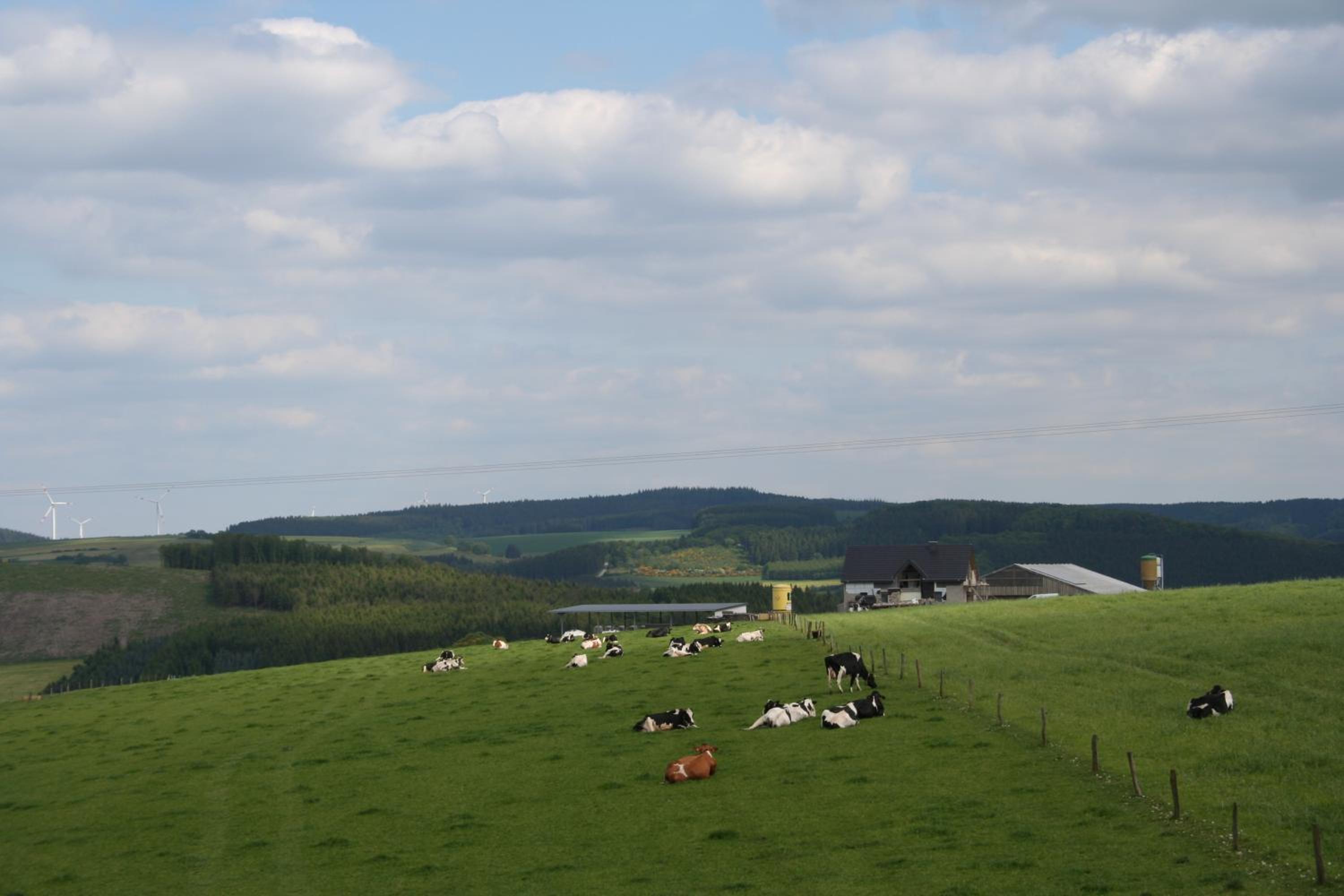 Location PanoramaGreen