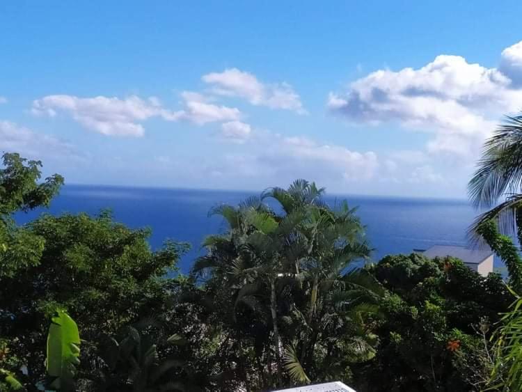 Sous le soleil de la Reunion