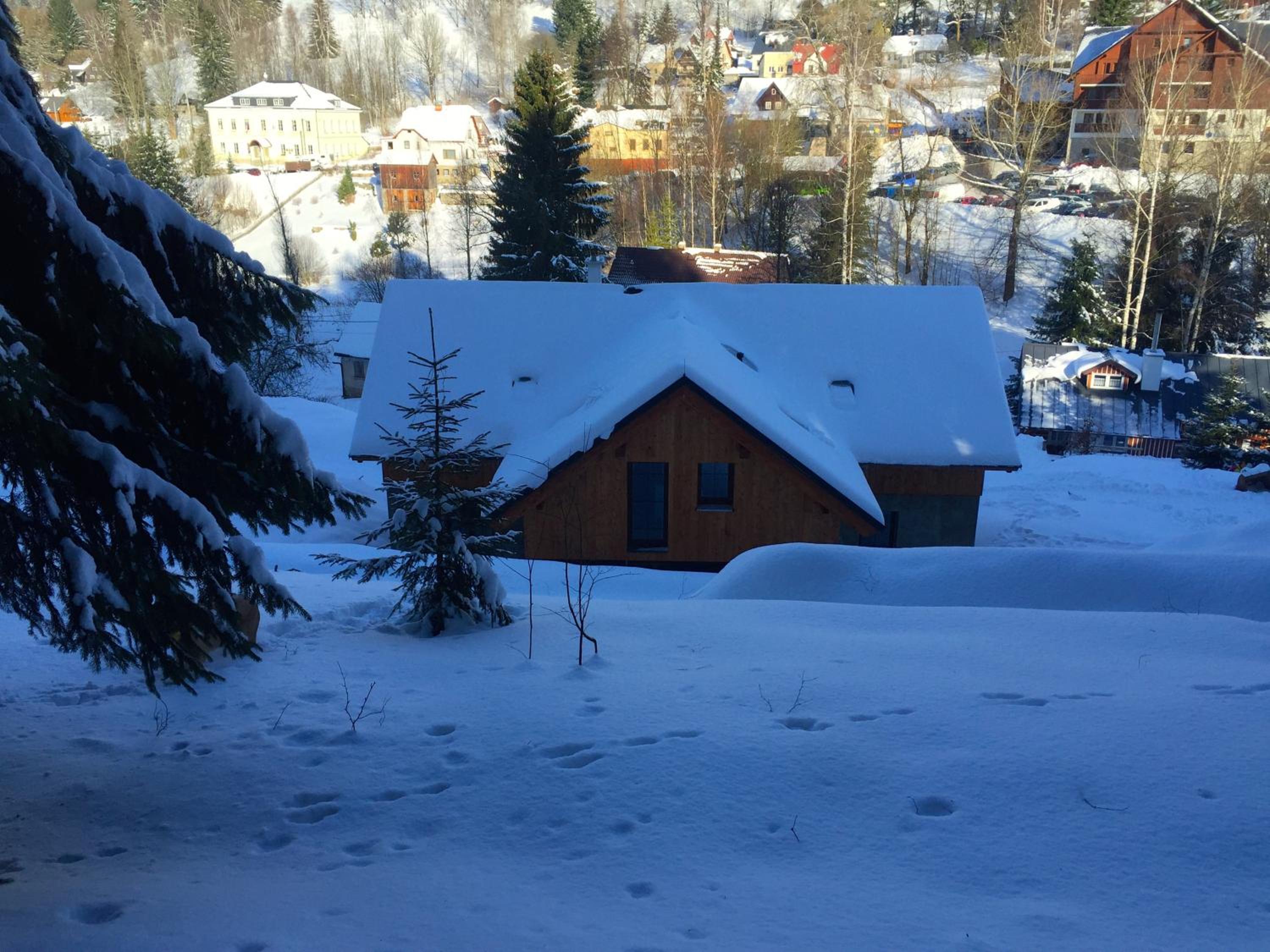 Photo 44