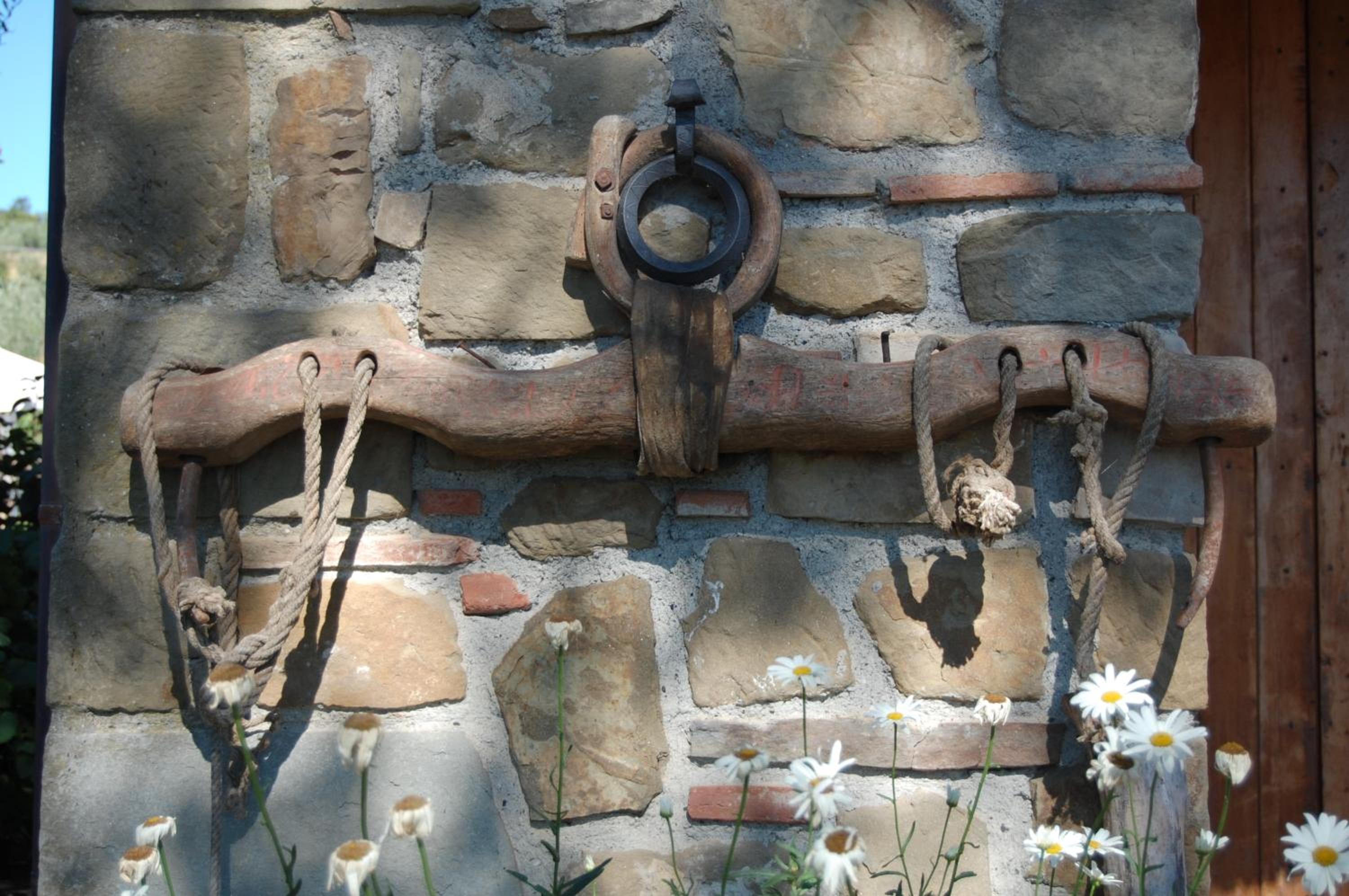 Photo 43