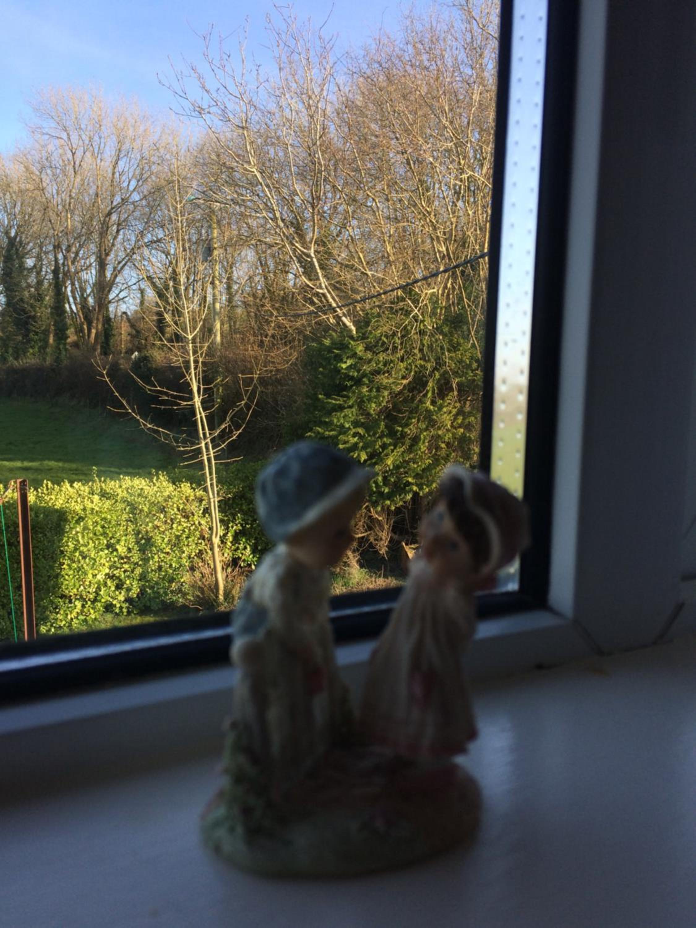 Photo 25