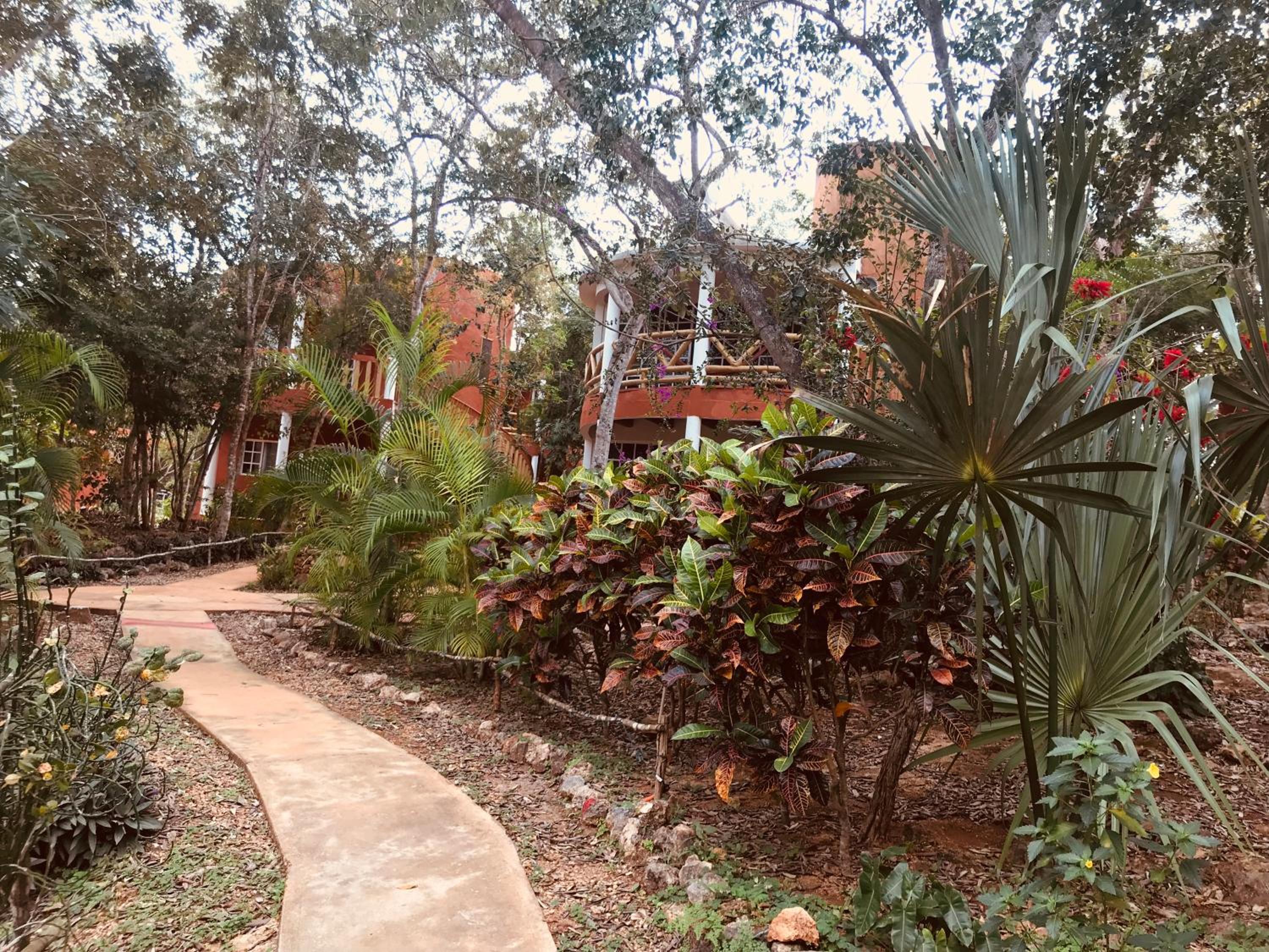 Eco-Hotel Nueva Altia