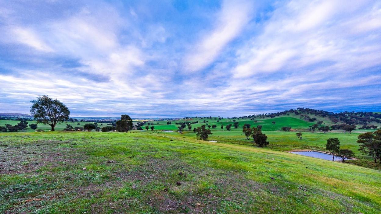 Hillview Farmstay