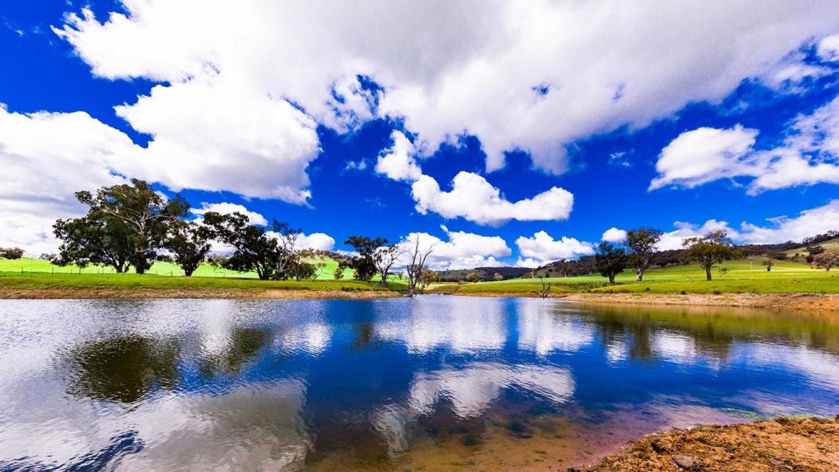 Hillview Farmstay