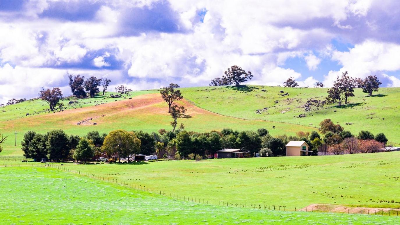 Hillview Farmstay