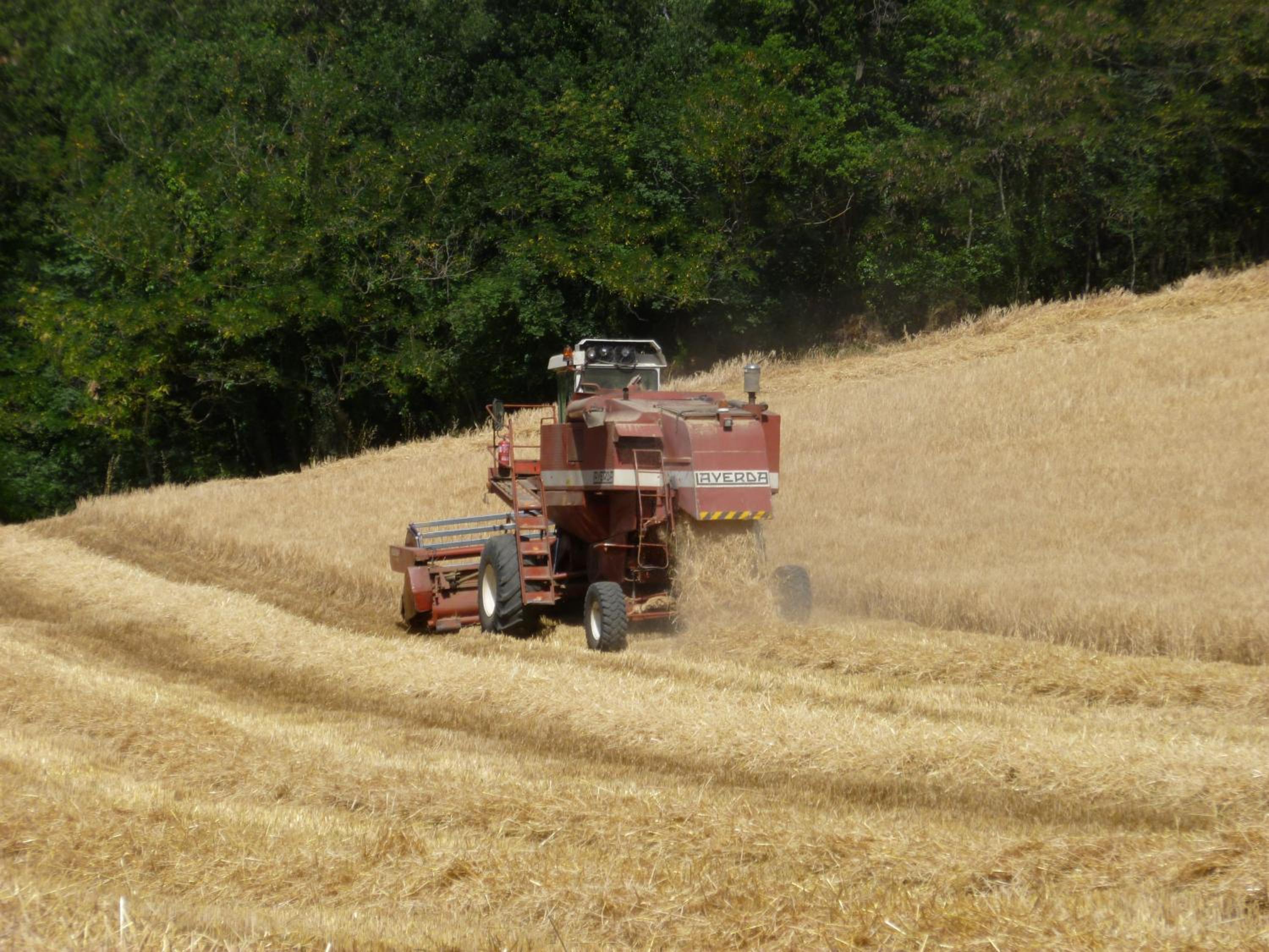 Photo 42