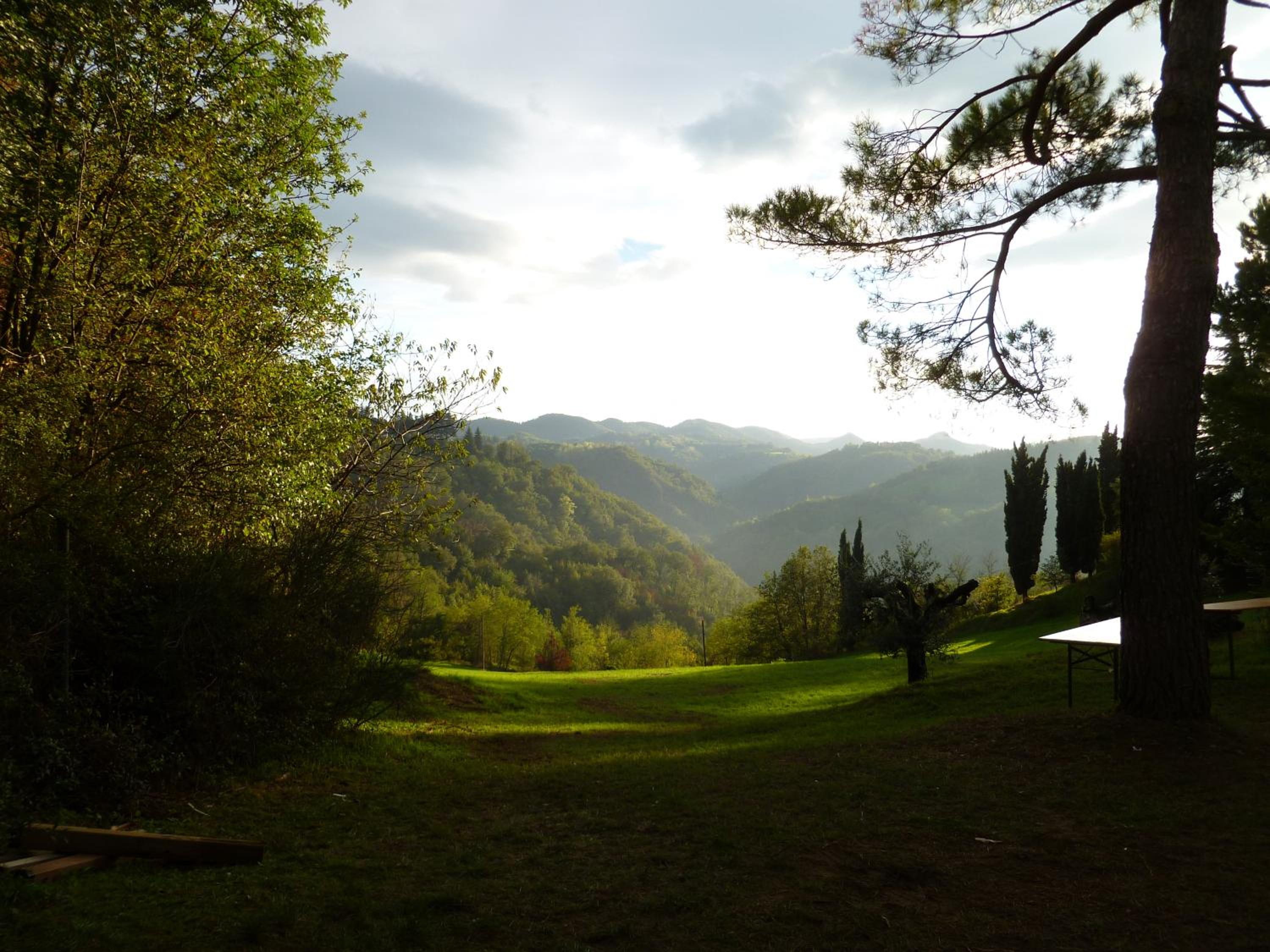Photo 43