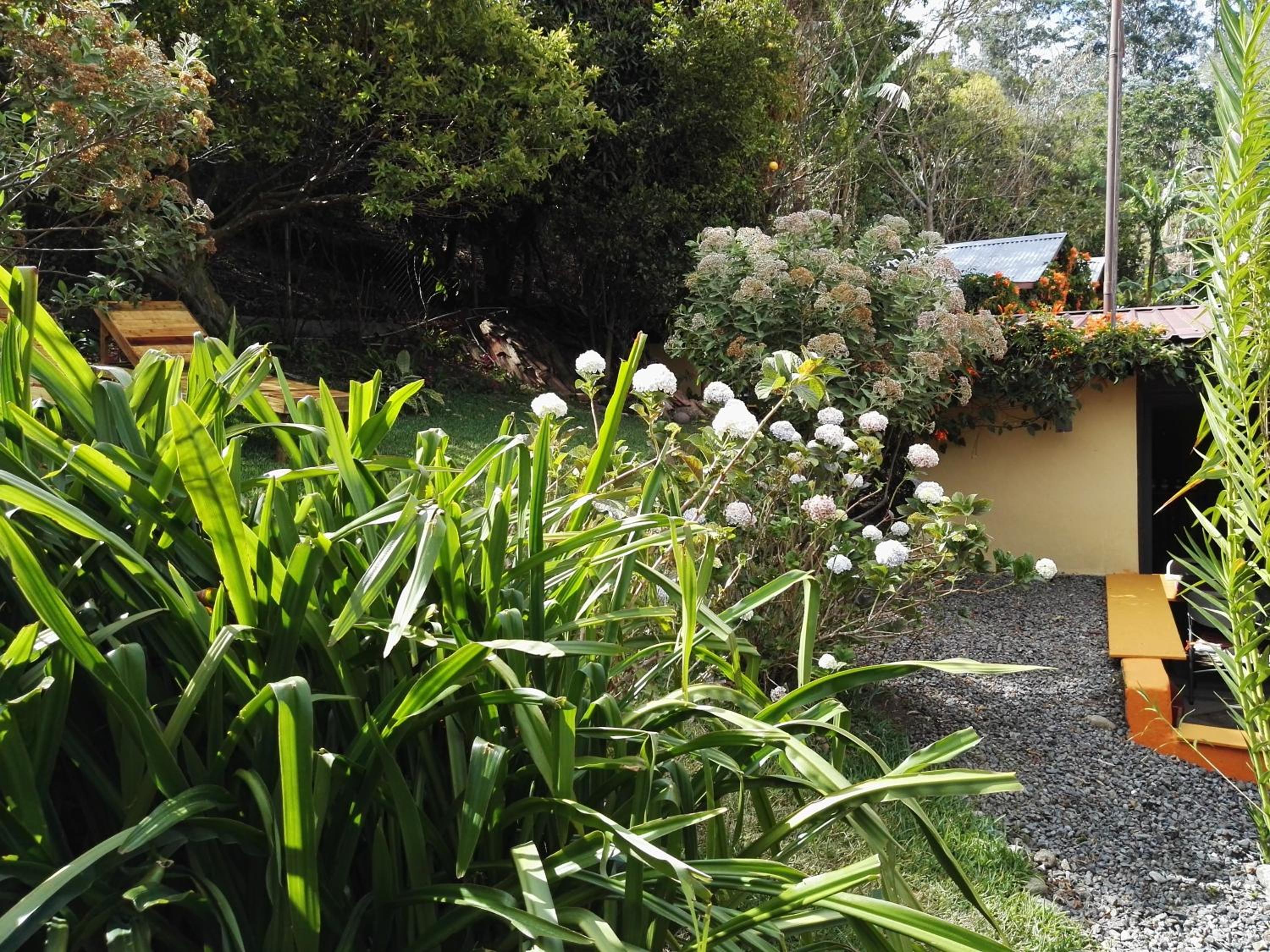 Agaseke Lodge Boquete