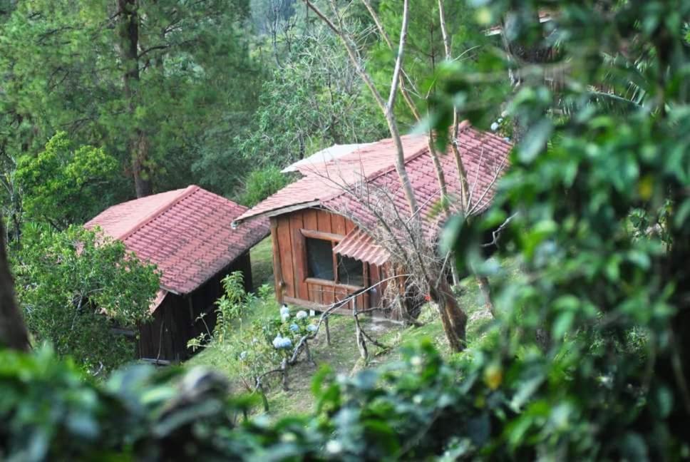 Cabañas Don Camilo Albergue de Montaña