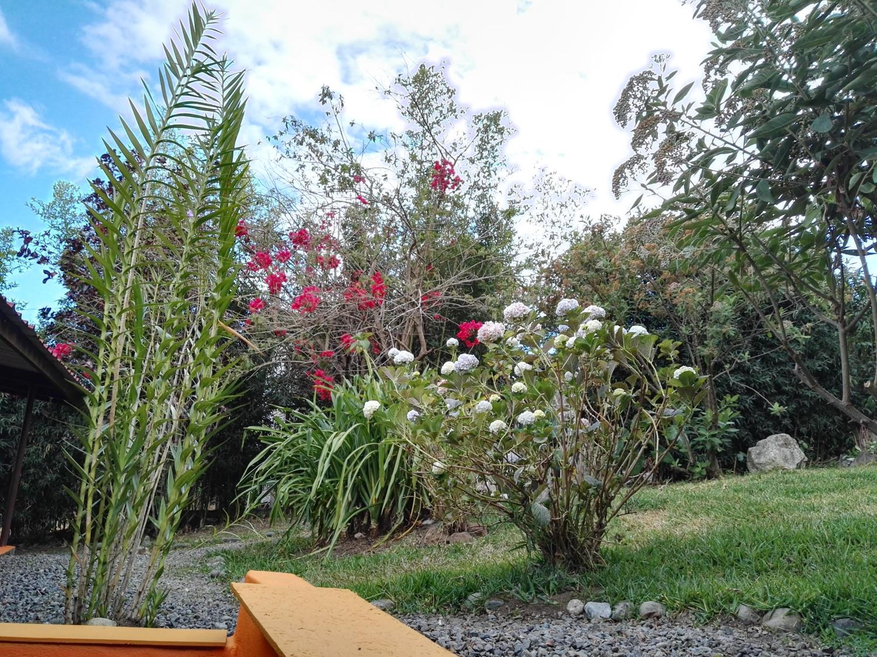 Agaseke Lodge Boquete