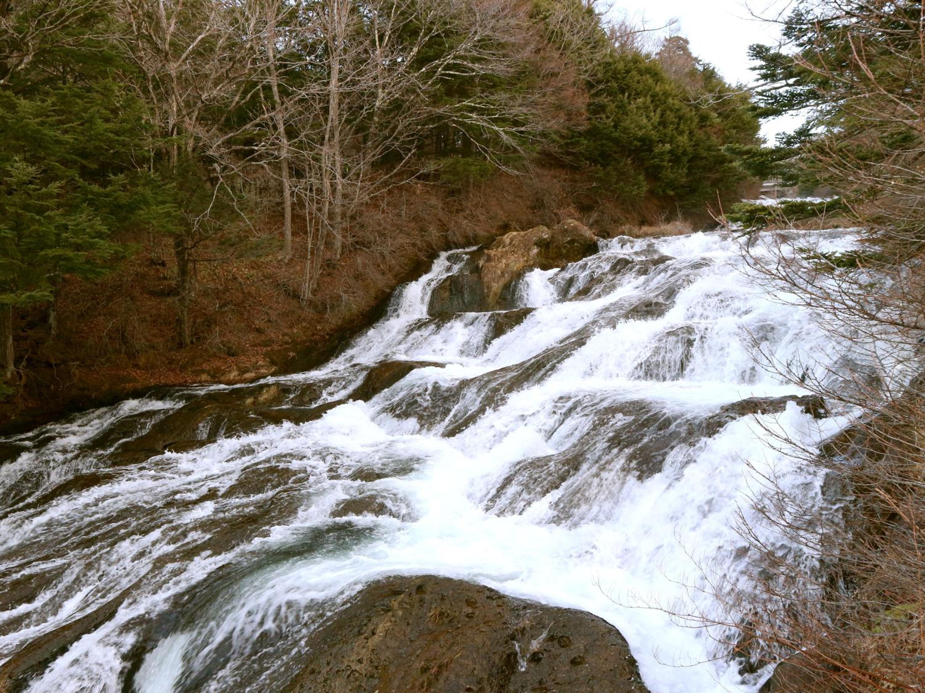 Photo 47