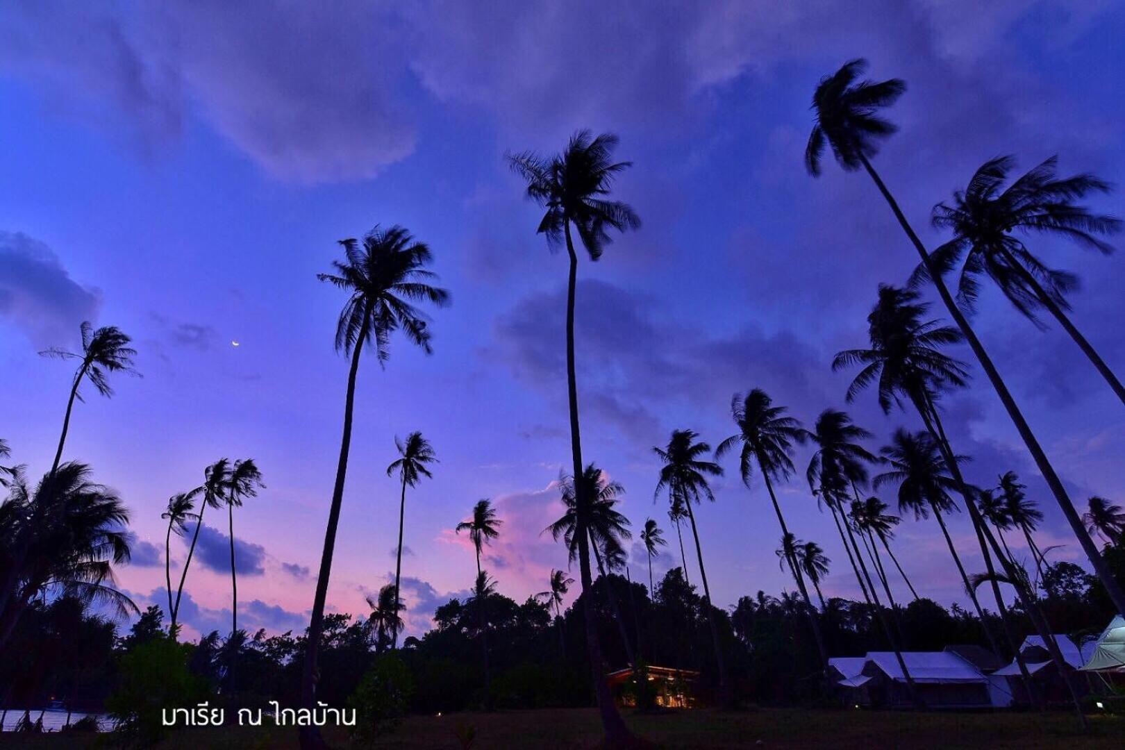 Naivacha Tent Koh Mak
