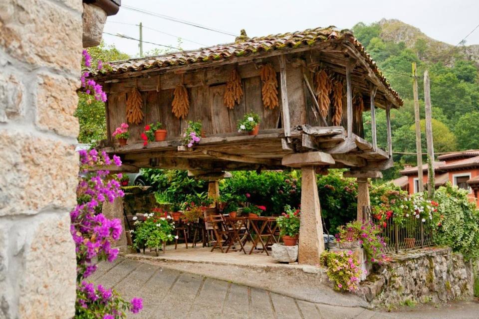 El Colladín
