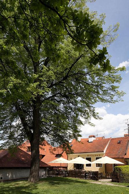Pension BLUME