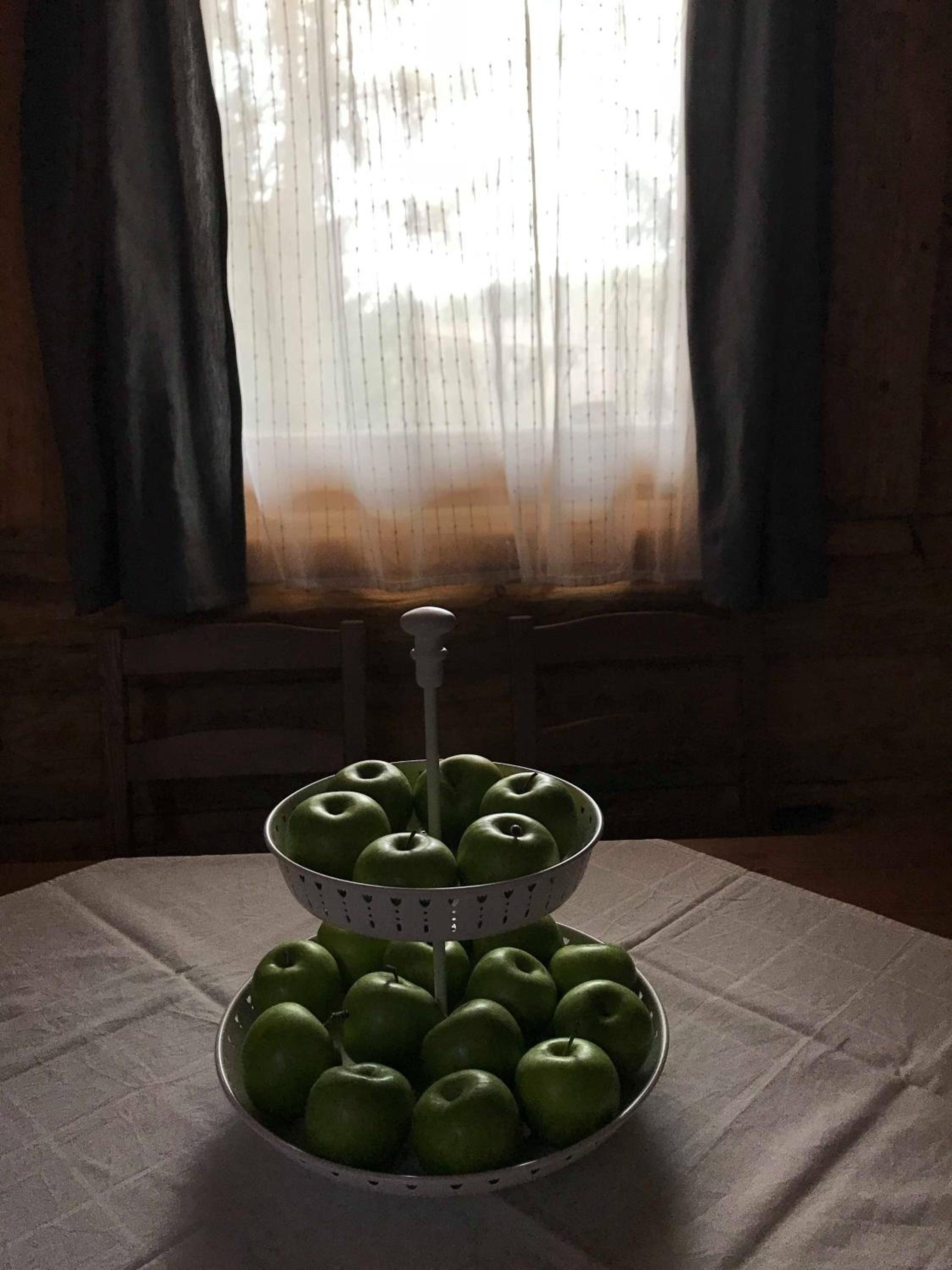 Photo 44