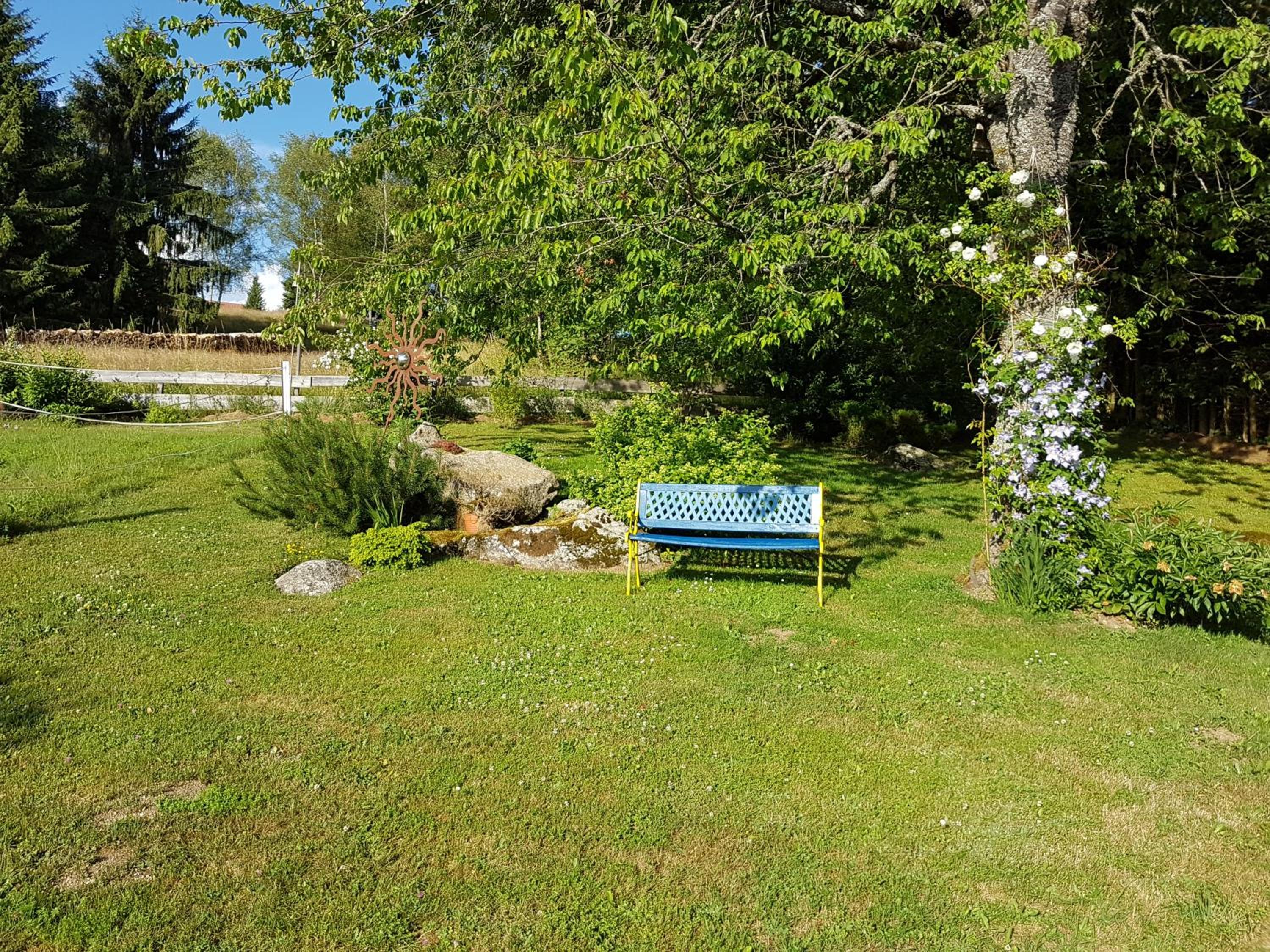 Photo 22