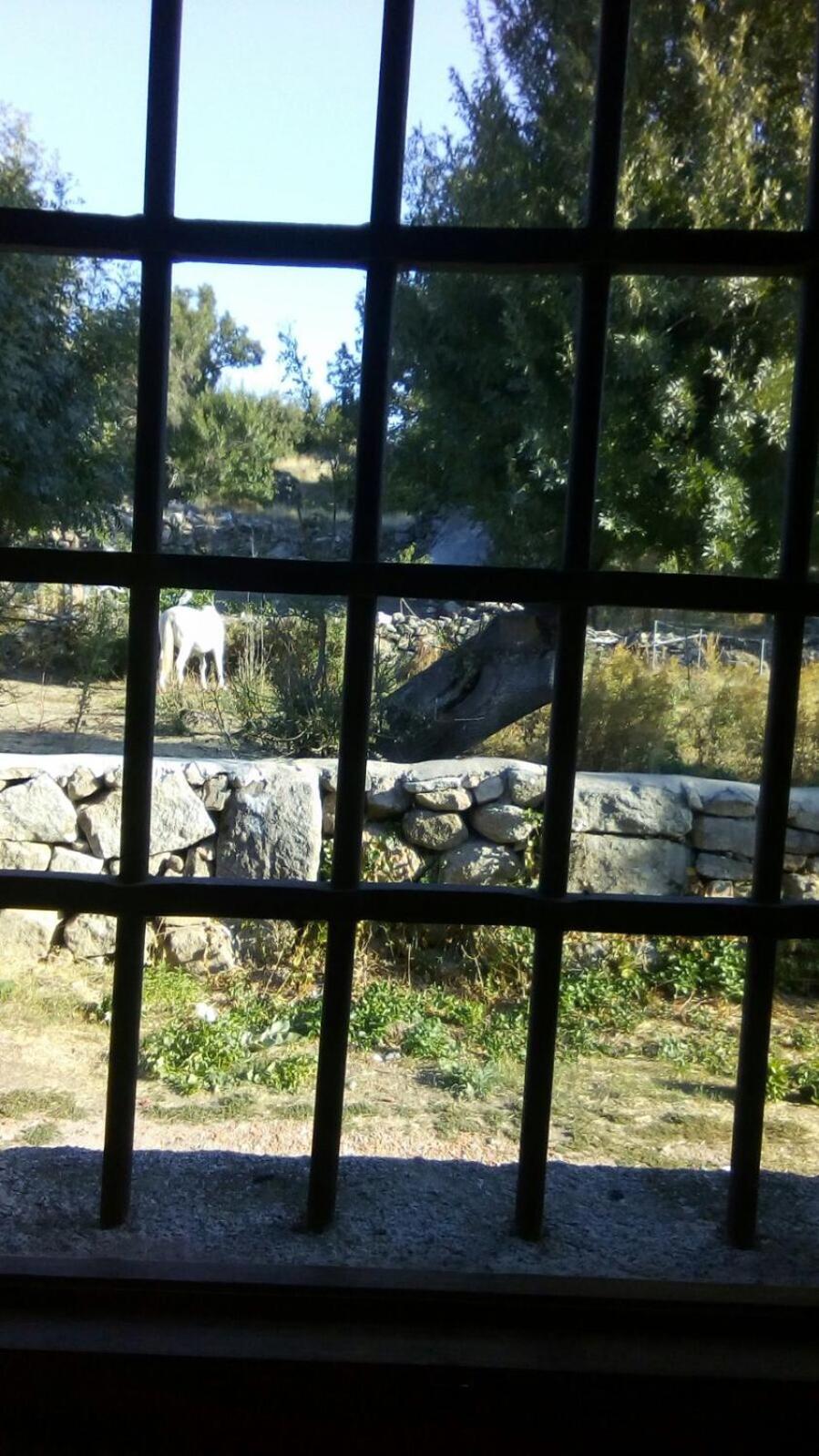 Casa Rural La Luciérnaga Salamanca