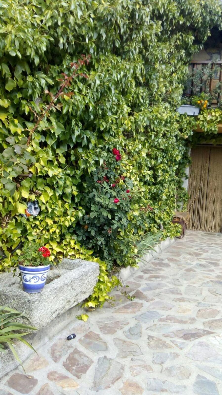 Casa Rural La Luciérnaga Salamanca