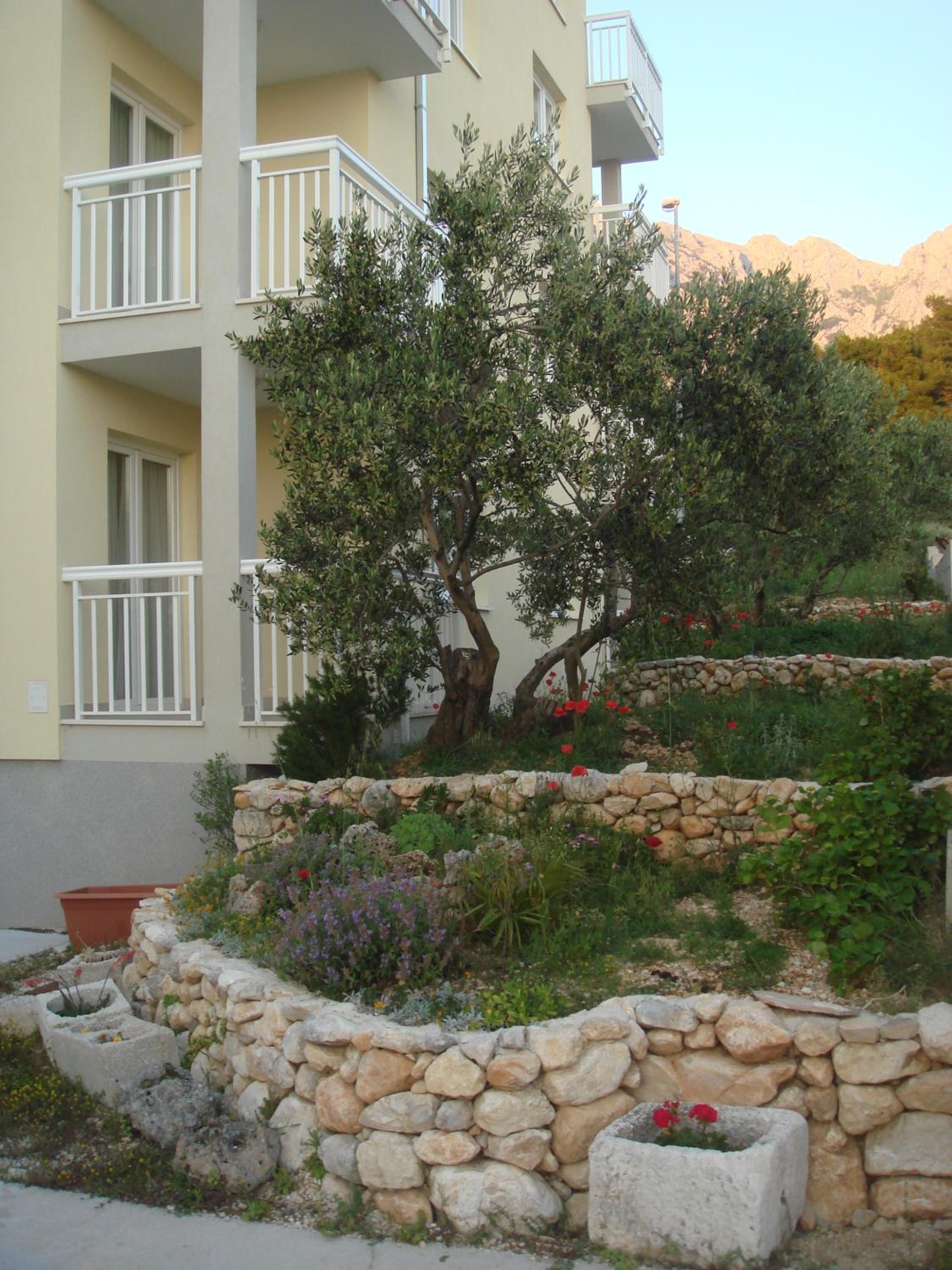 Photo 27