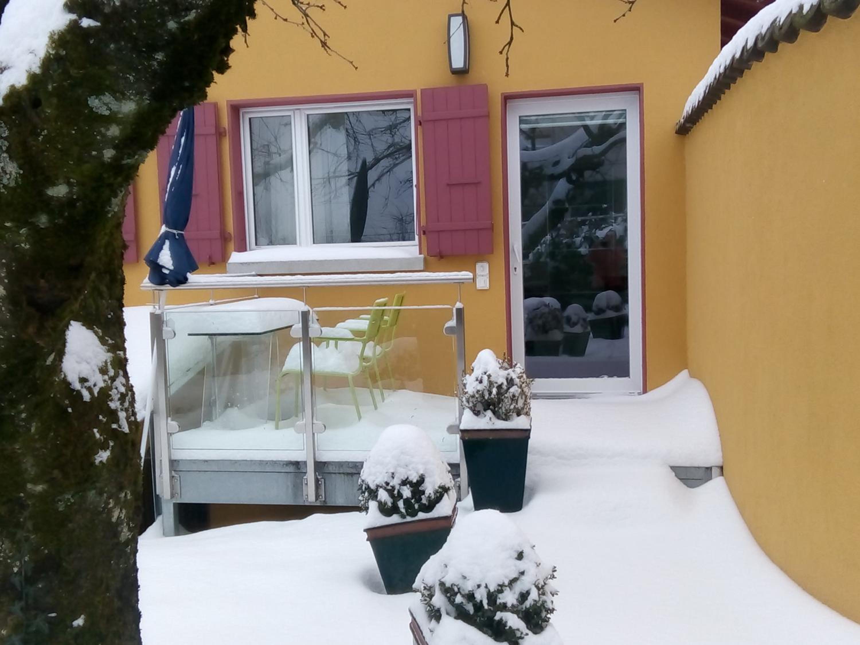 Swiss Borzoi House