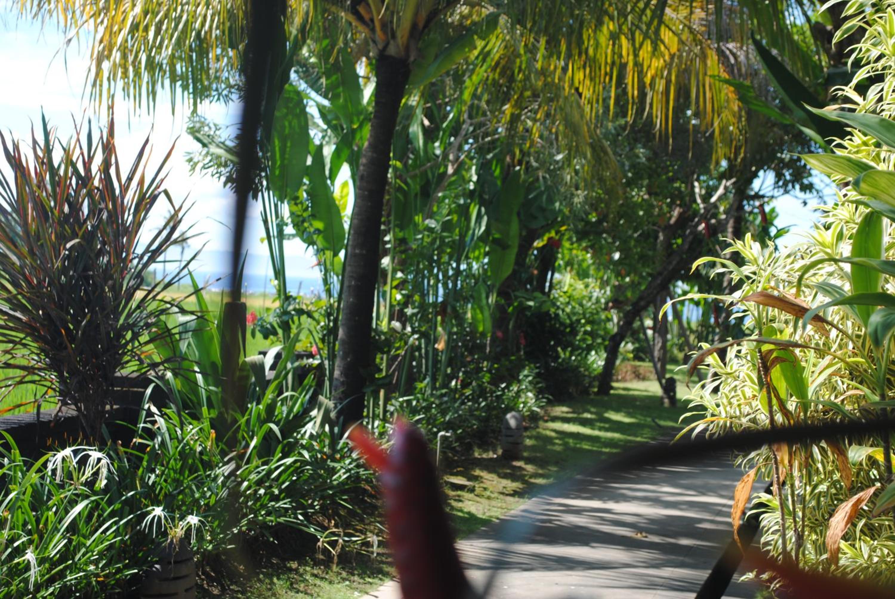 Kori Maharani Villas & Resort, photo 44