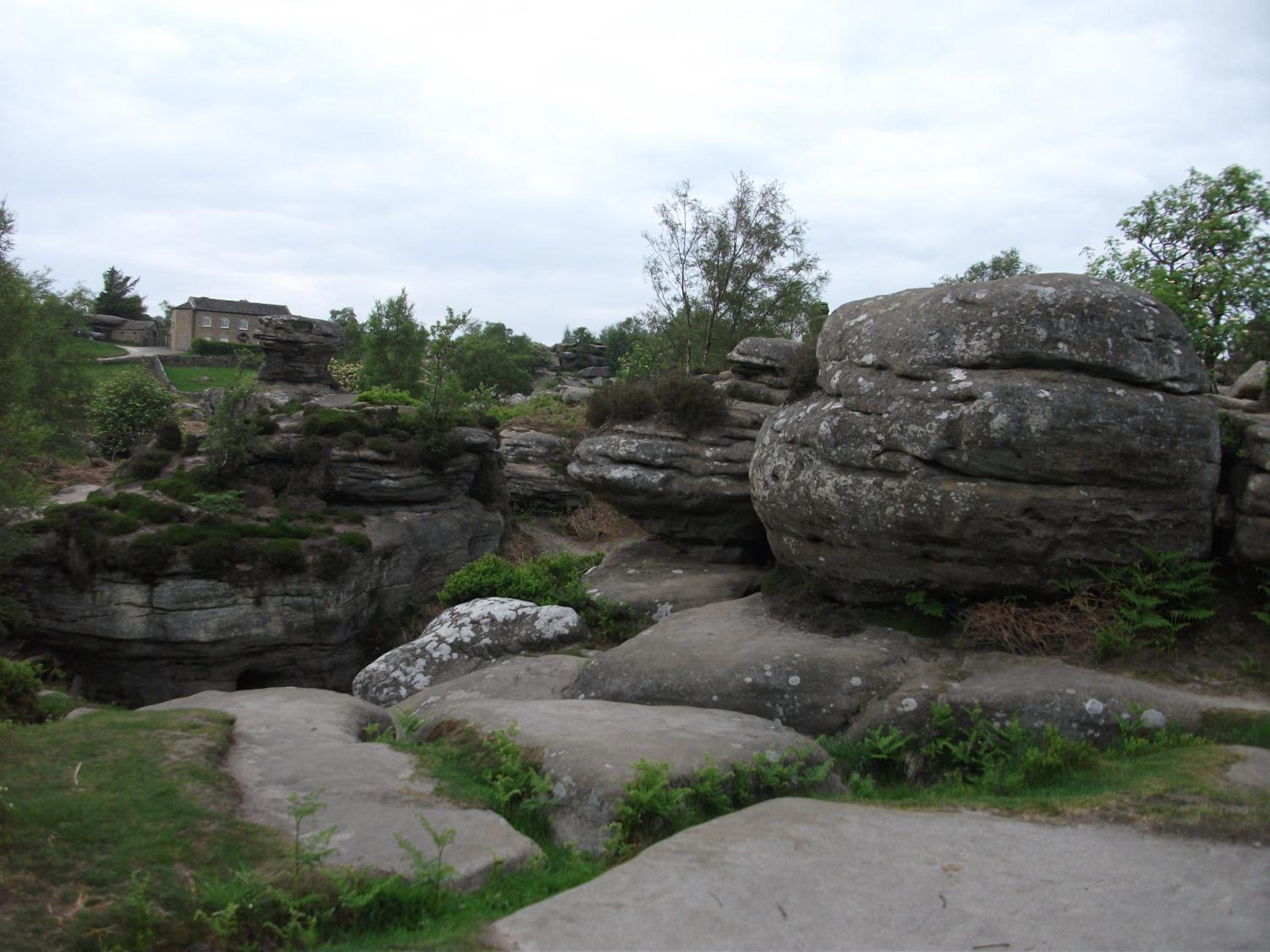 Photo 8