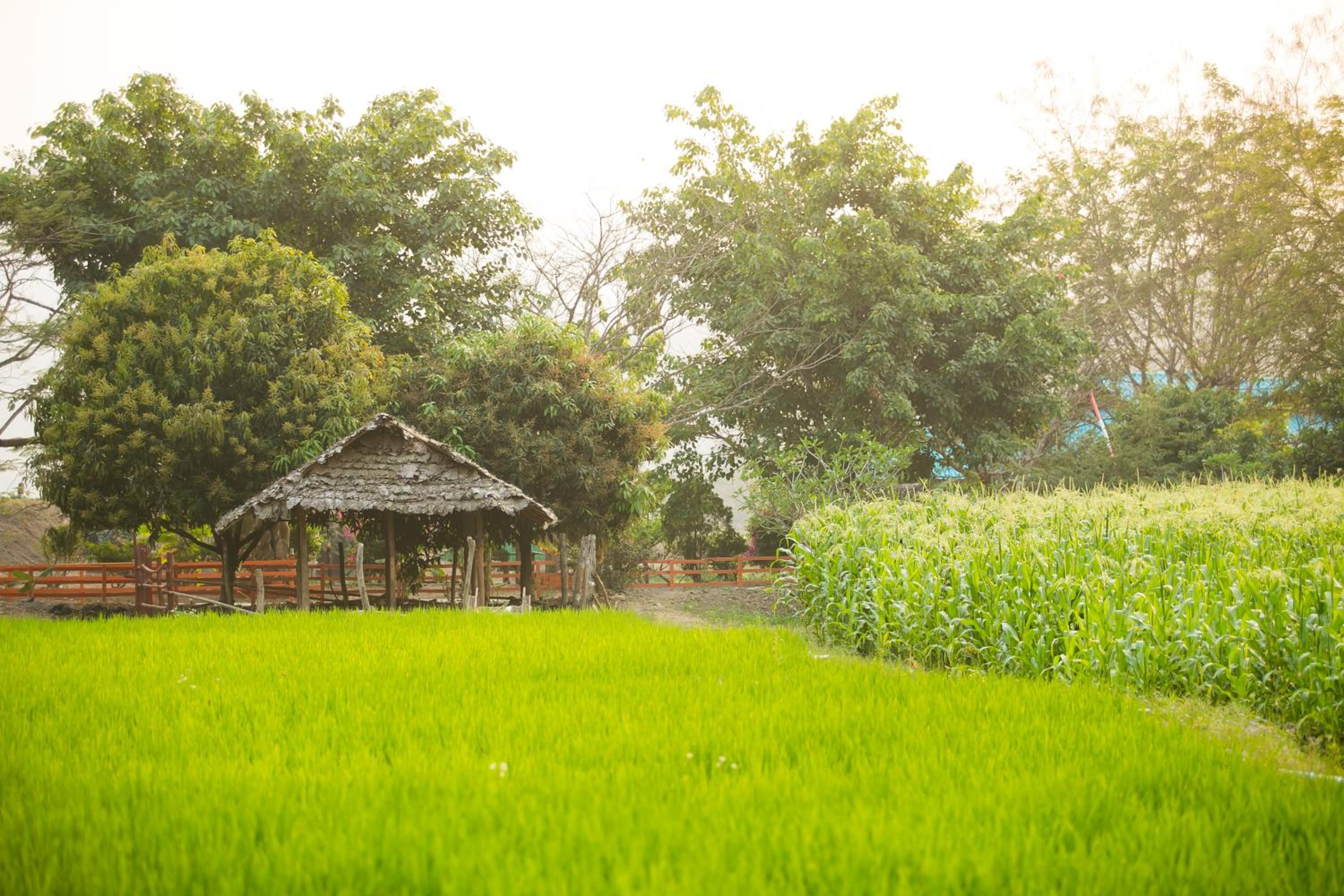 Karen Eco Lodge