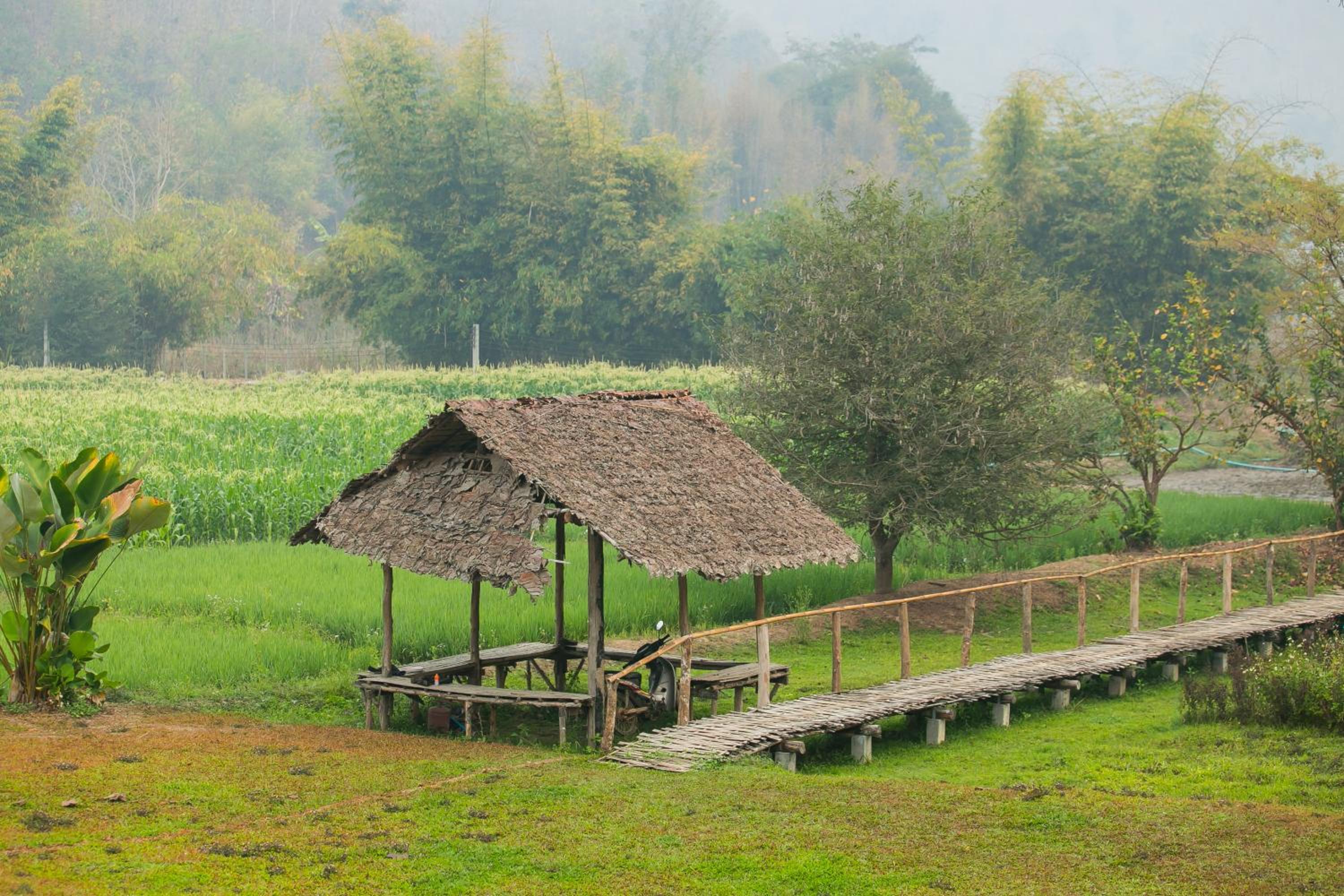 Karen Eco Lodge