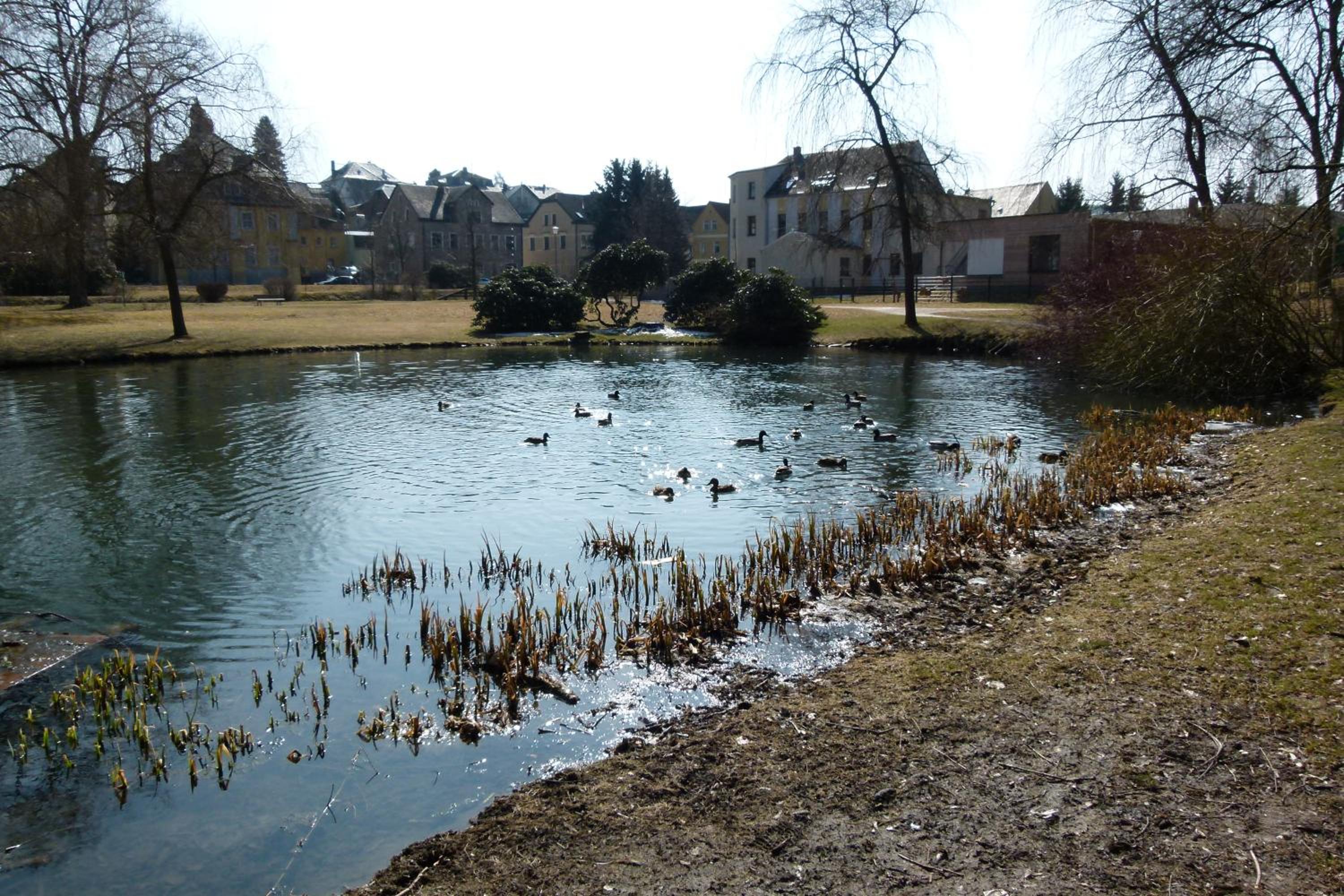 Photo 11