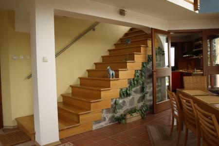 Spatious architectural house
