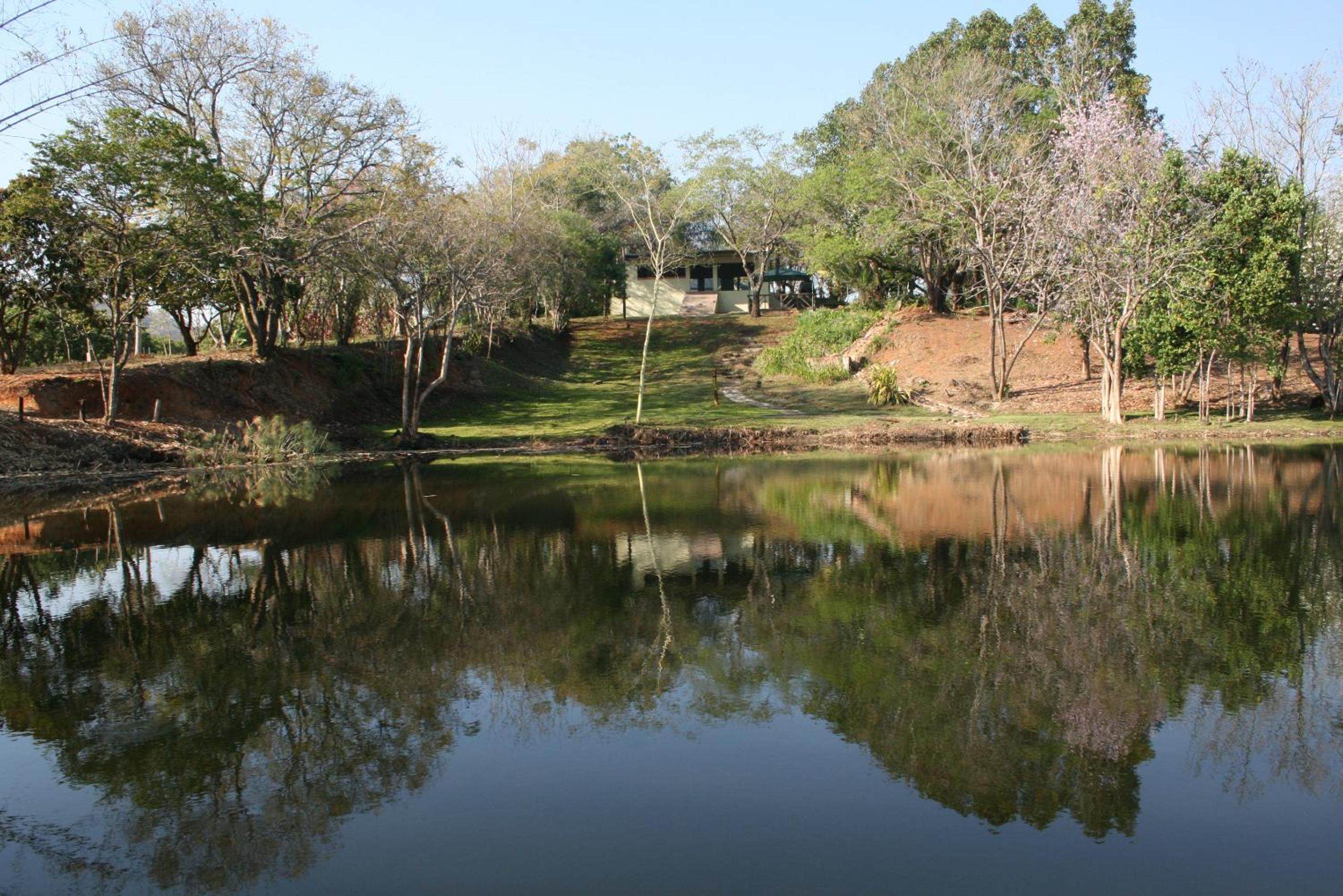 Mountain Creek Lodge view 5