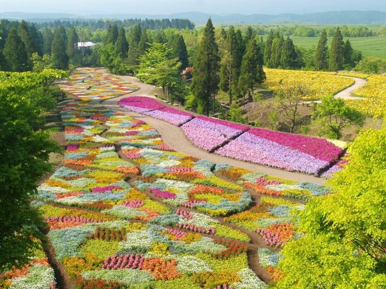 garden
