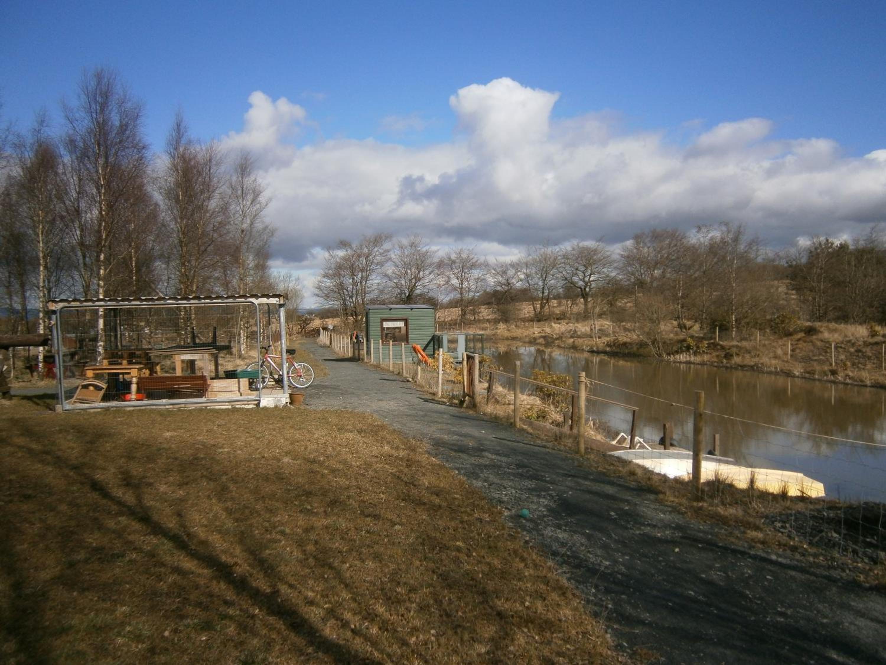 Photo 11